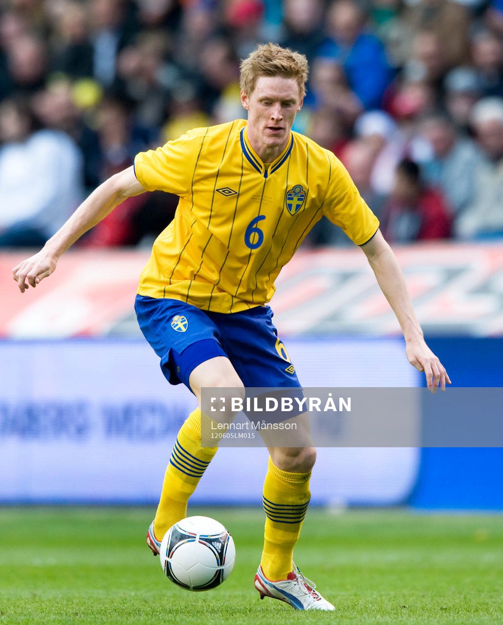 Rasmus Elm, Sverige