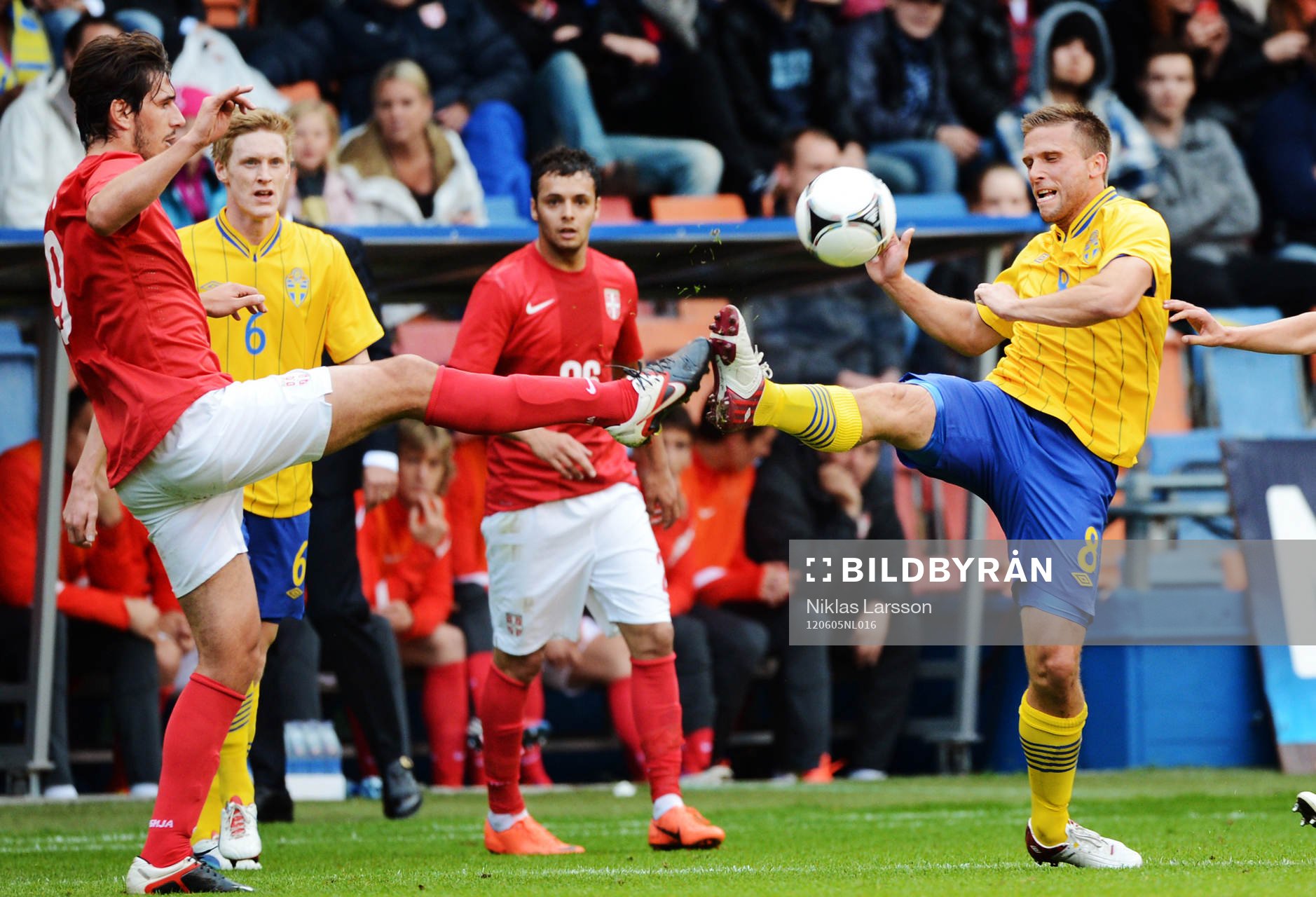 Zoran Tosic, Serbien, Anders Svensson, Sverige