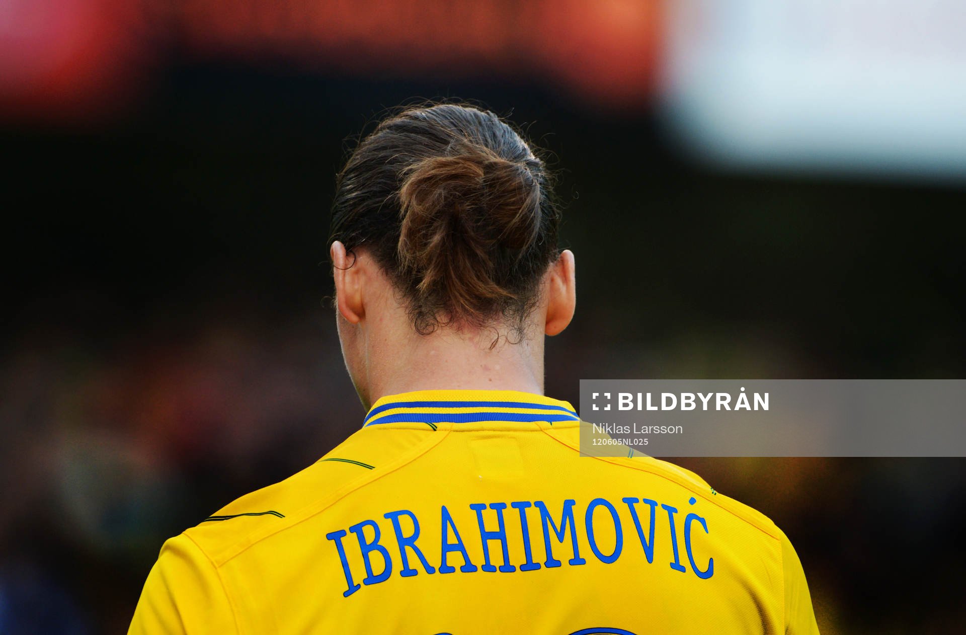 Zlatan Ibrahimovic, Sverige