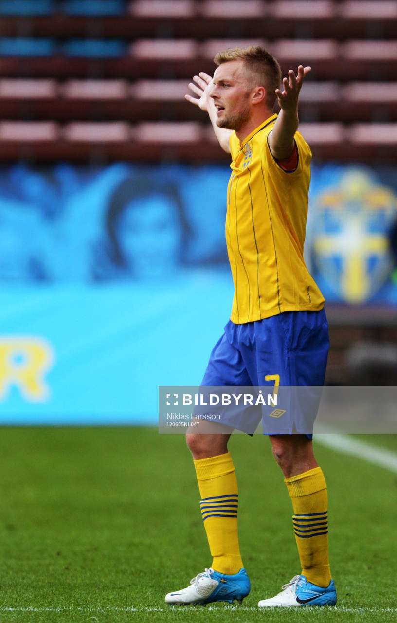 Sebastian Larsson, Sverige