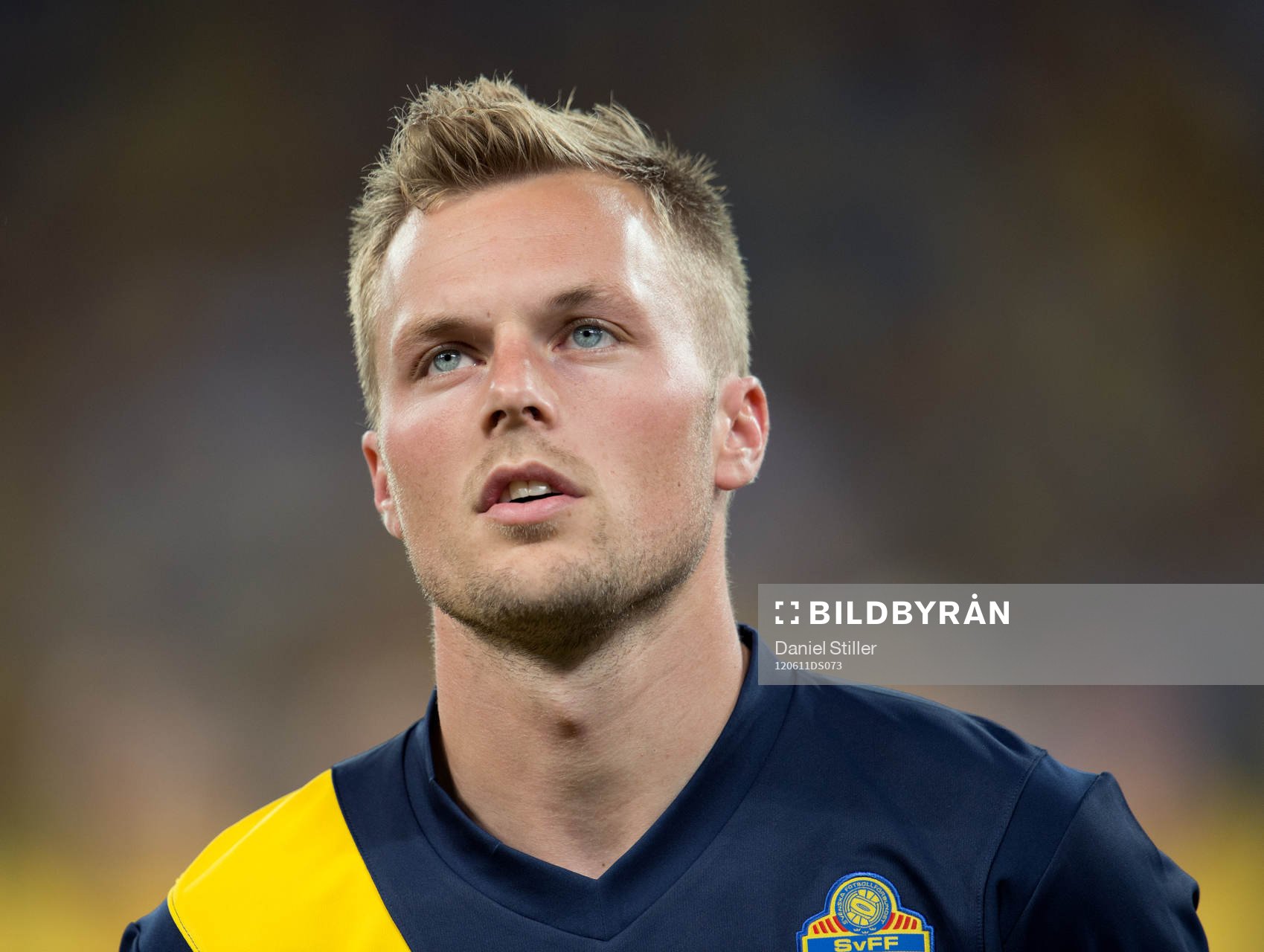 Sebastian Larsson, Sverige