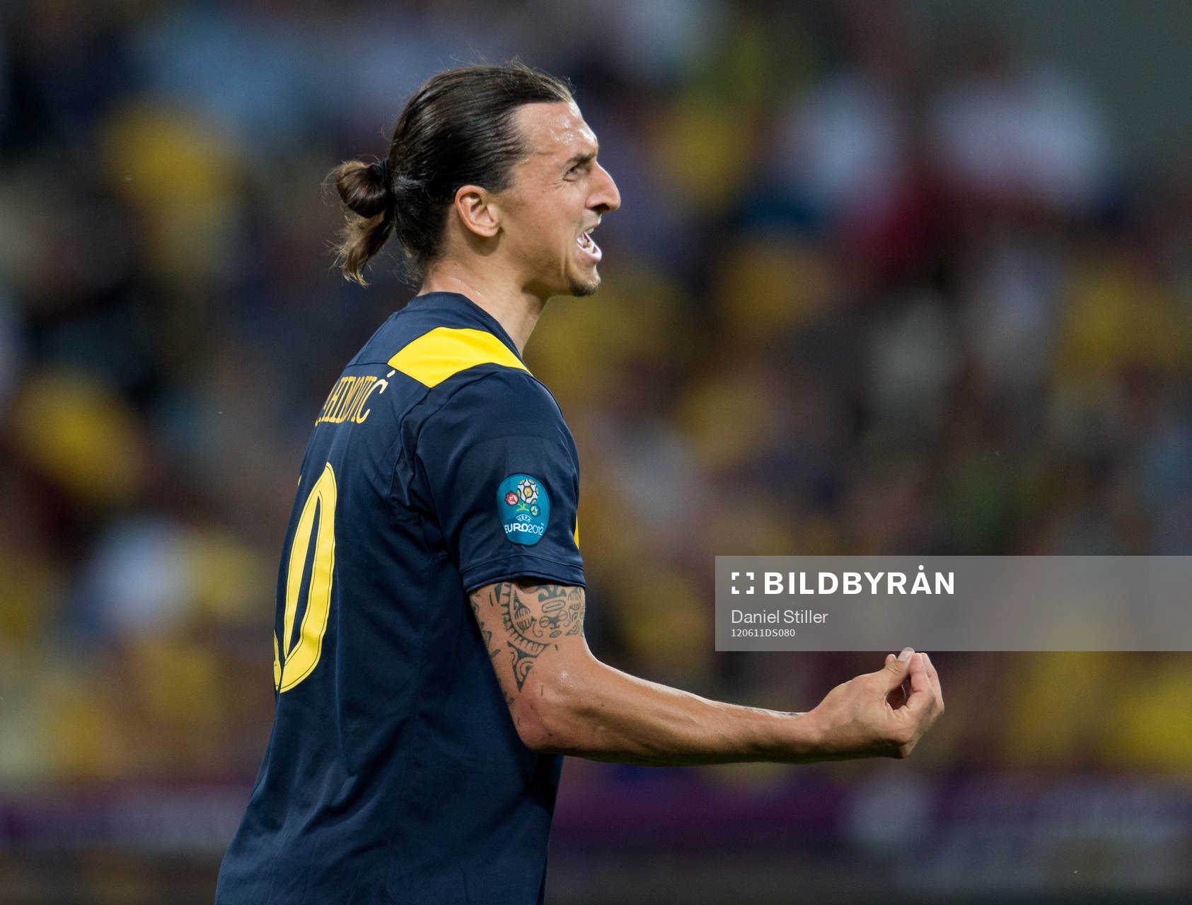 Zlatan Ibrahimovic, Sverige
