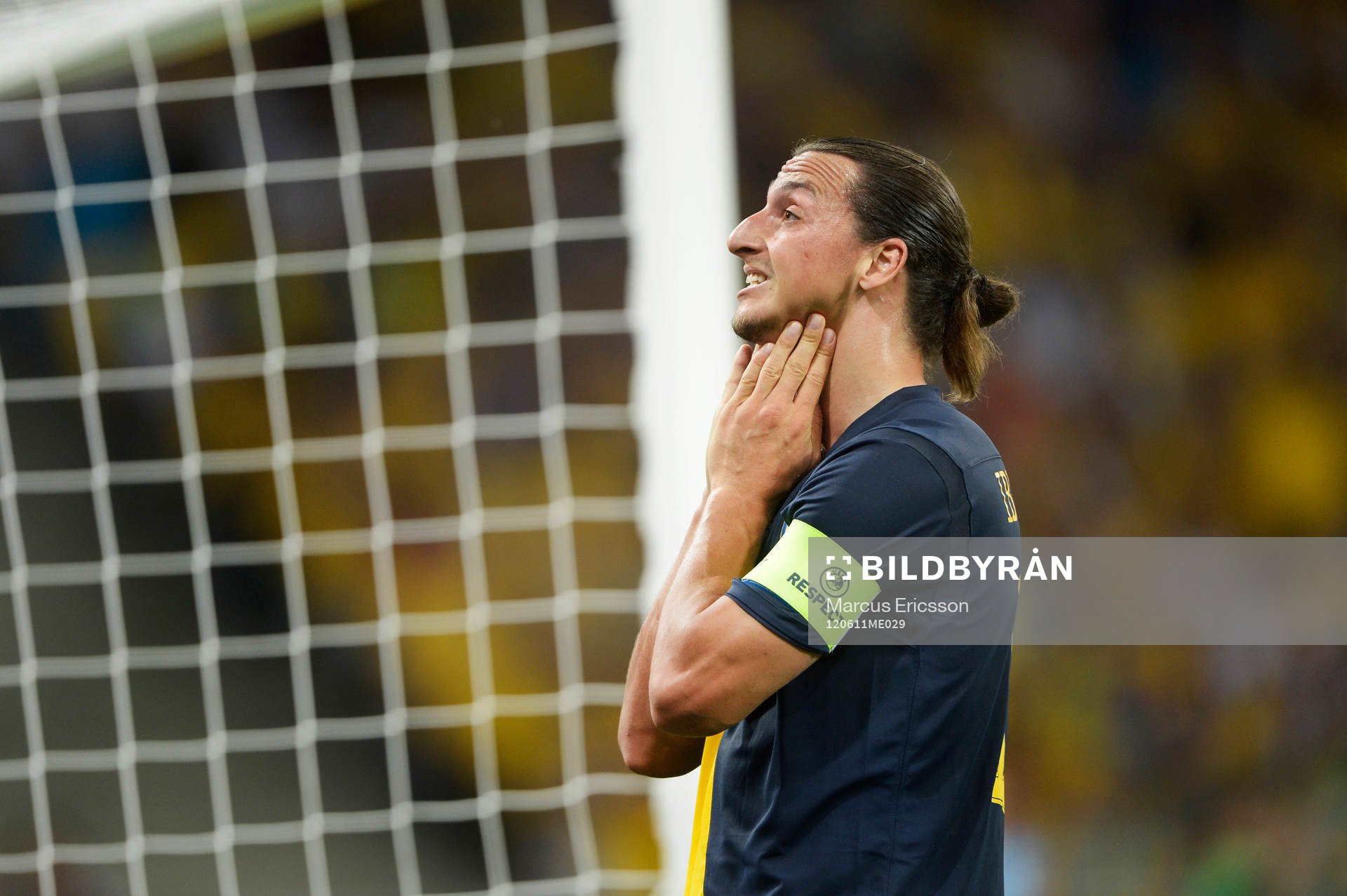 Zlatan Ibrahimovic, Sverige, depp
