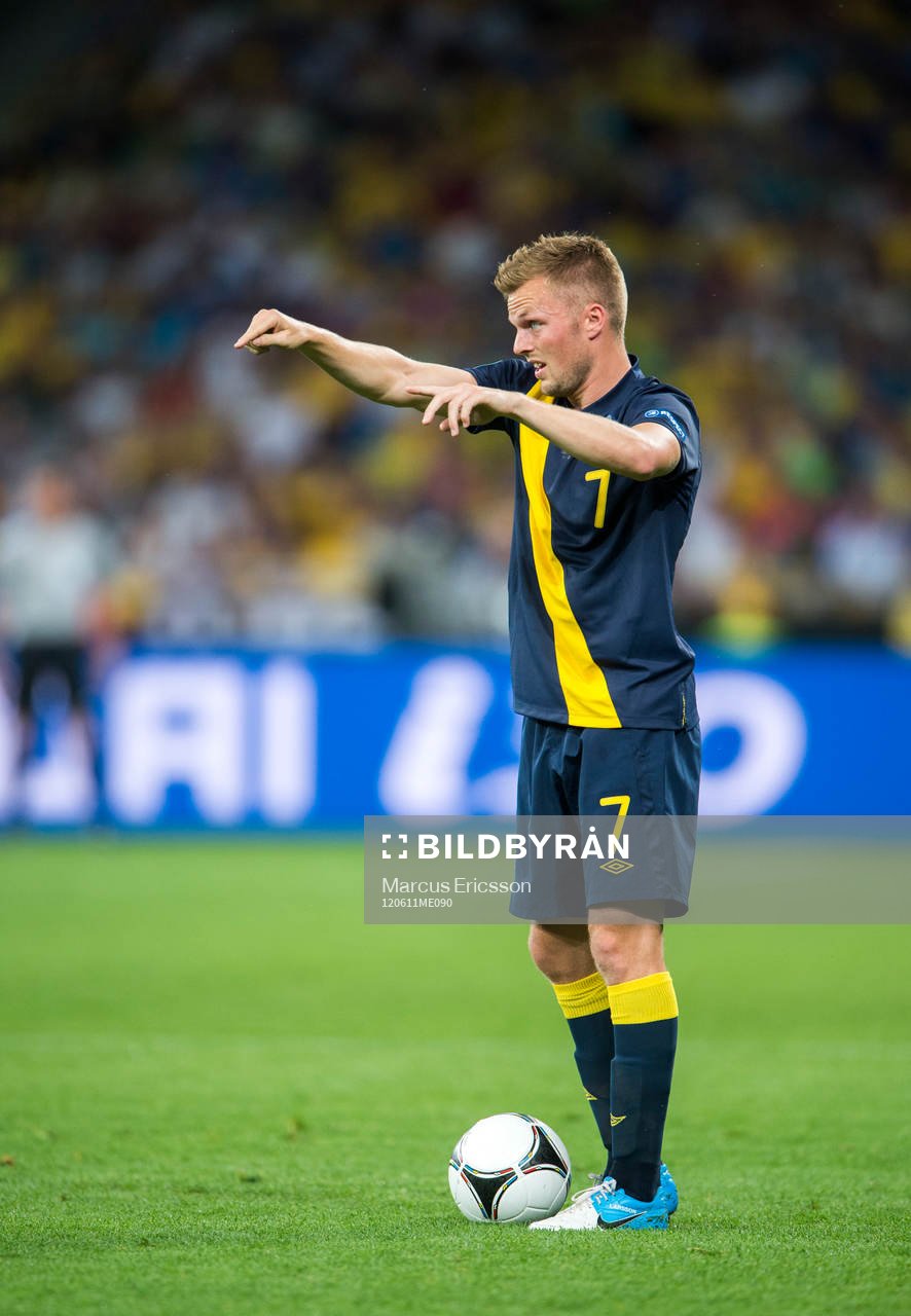 Sebastian Larsson, Sverige