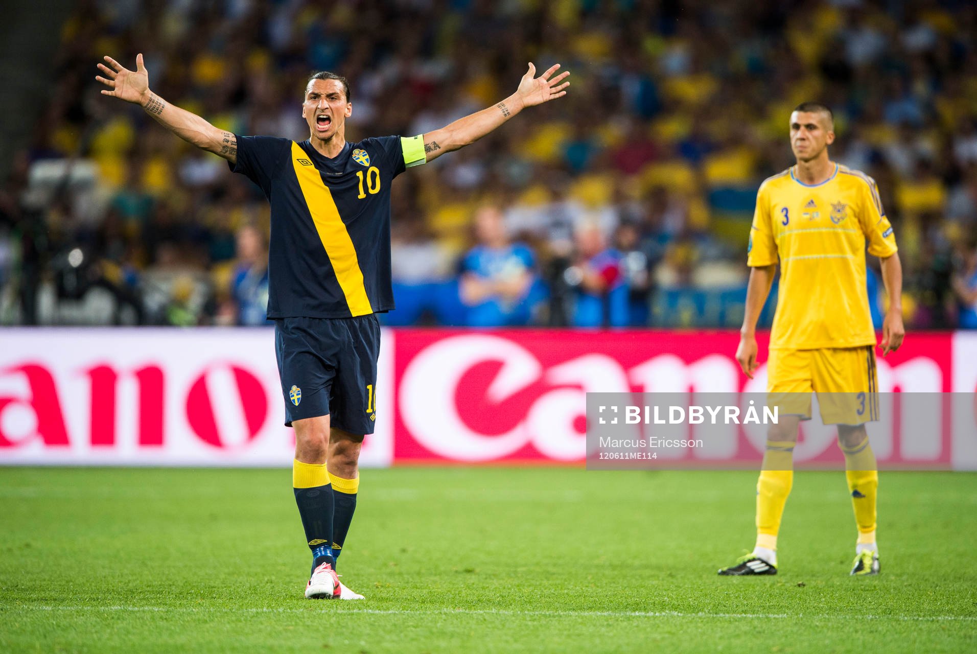 Zlatan Ibrahimovic, Sverige
