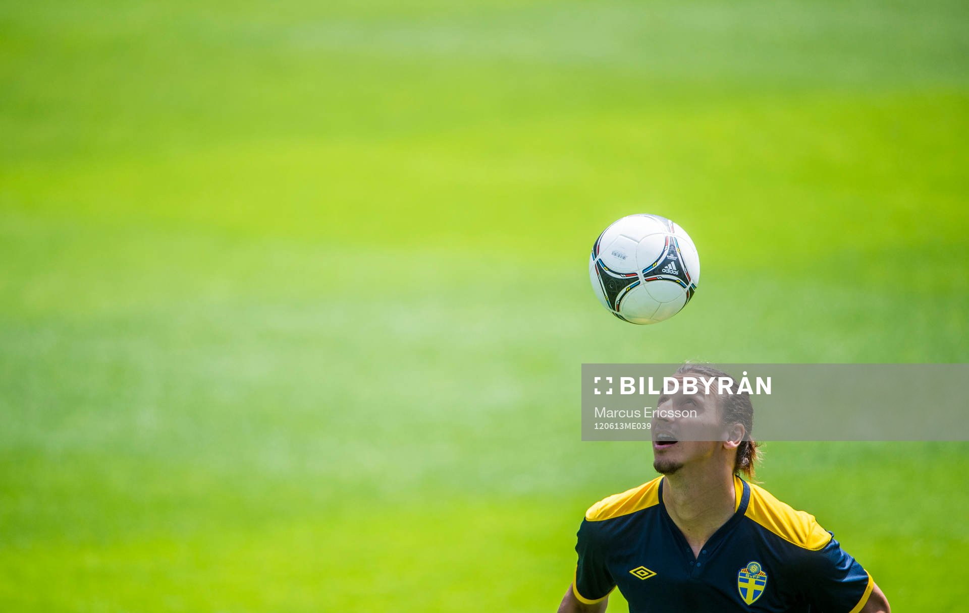 Öppen träning för de svenska fansen på Dynamo Stadion.