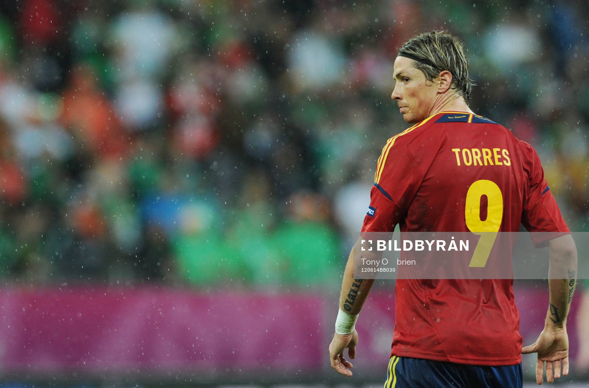 Fernando Torres, Spanien
