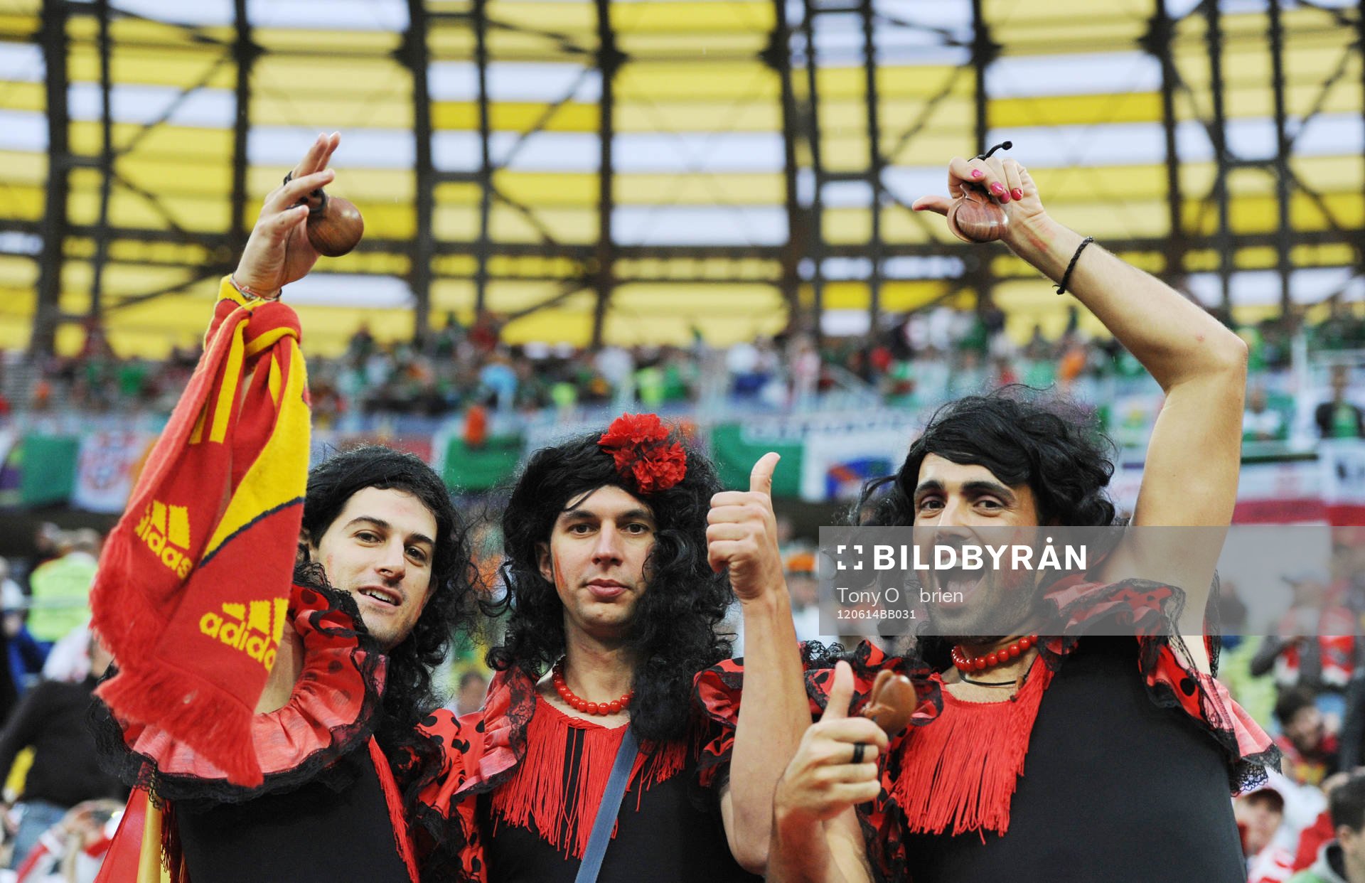 Fans, Supporter