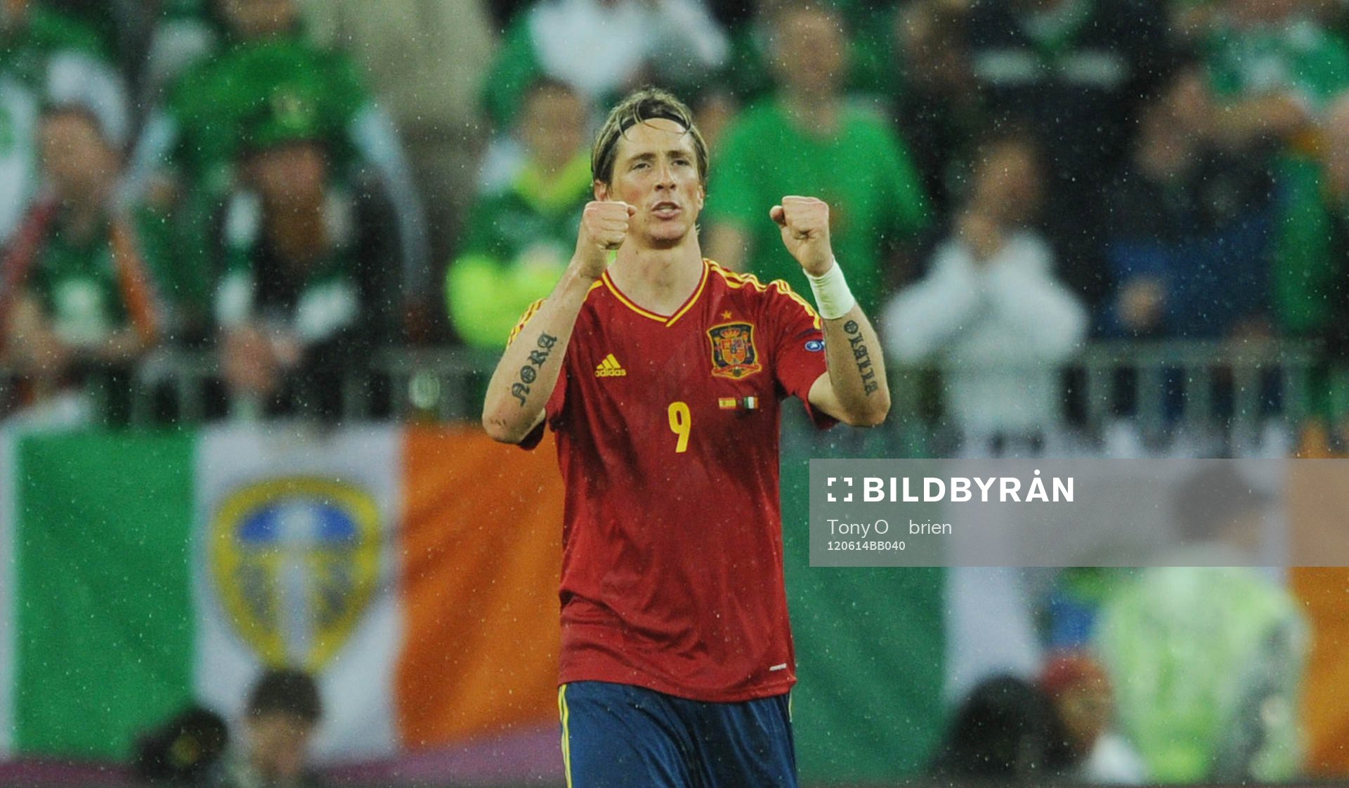 Fernando Torres, Spanien, glädje jubel