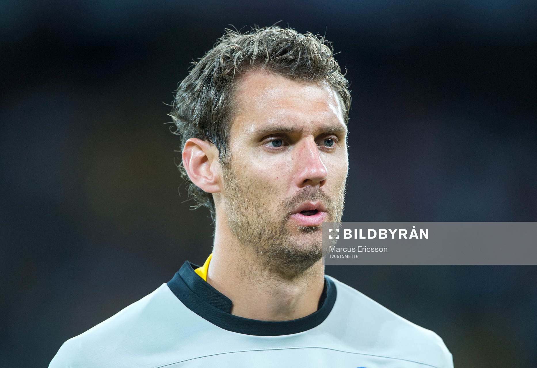 Andreas Isaksson, målvakt