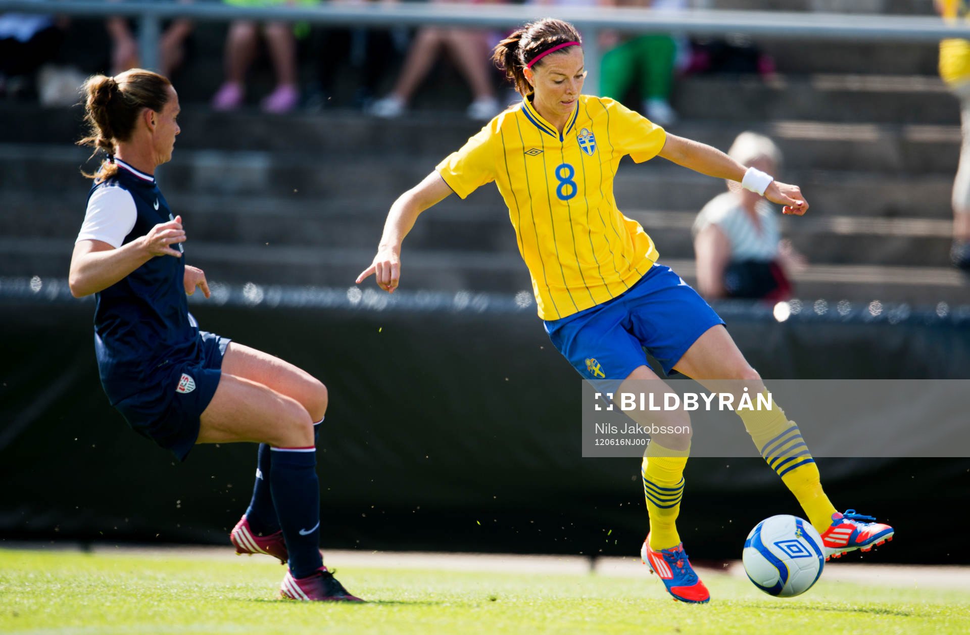 Lotta Schelin, Sverige
