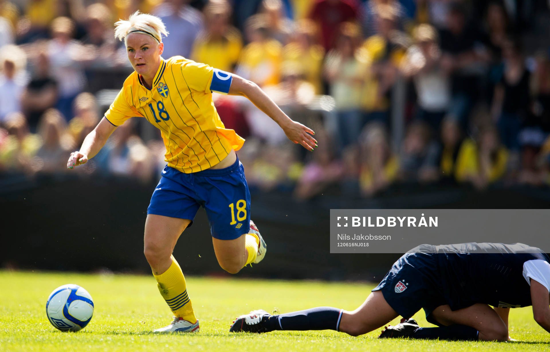 Nilla Fischer, Sverige