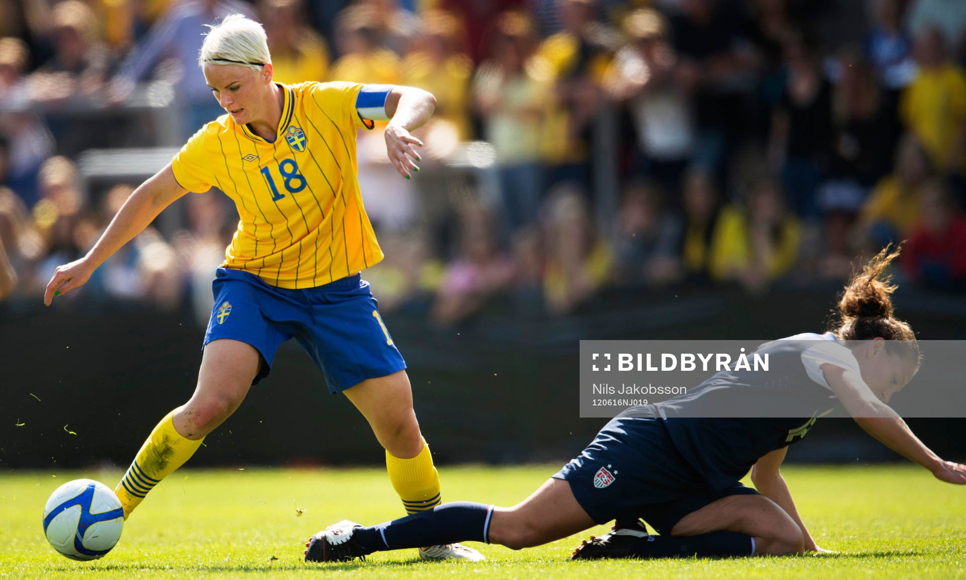 Nilla Fischer, Sverige