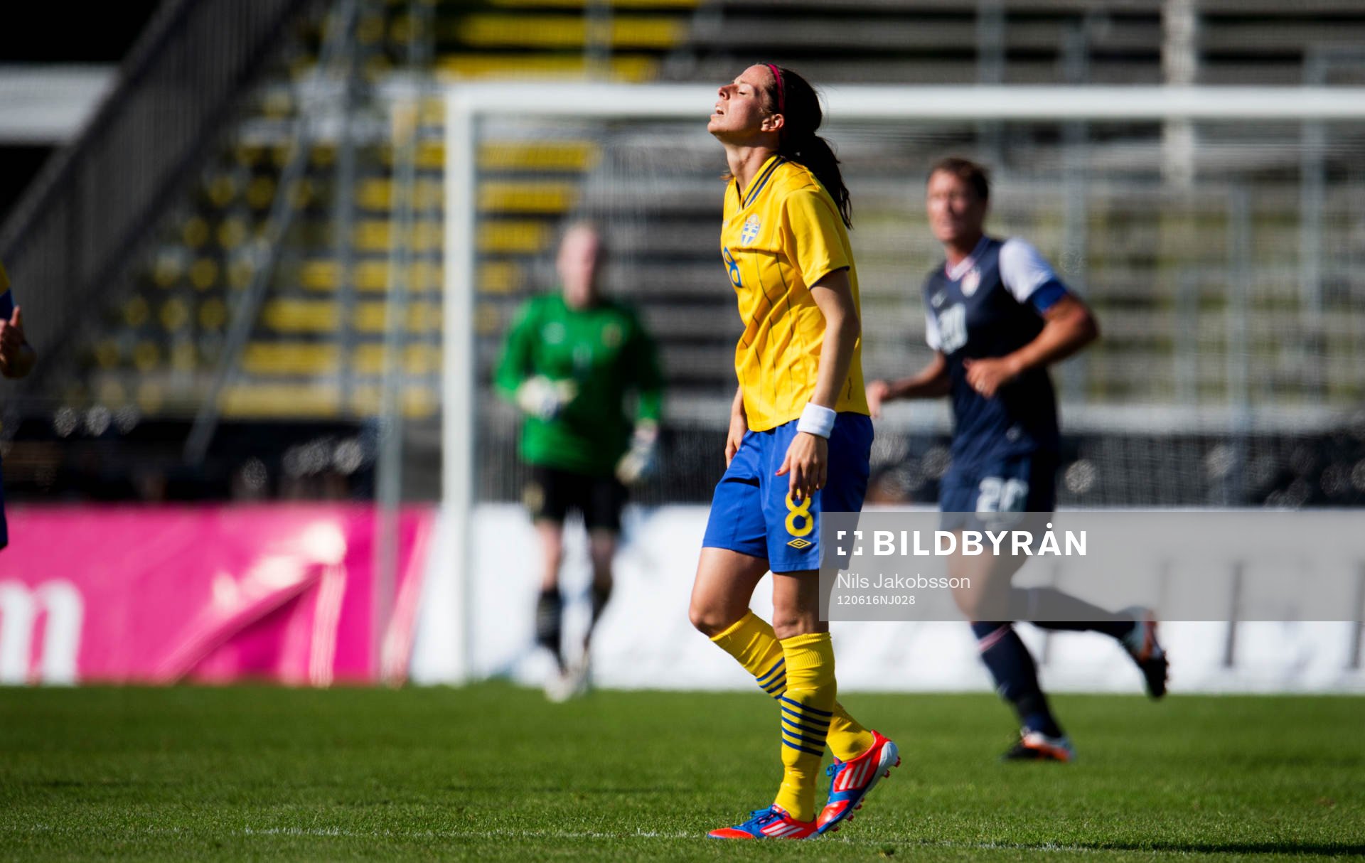 Lotta Schelin, Sverige depp