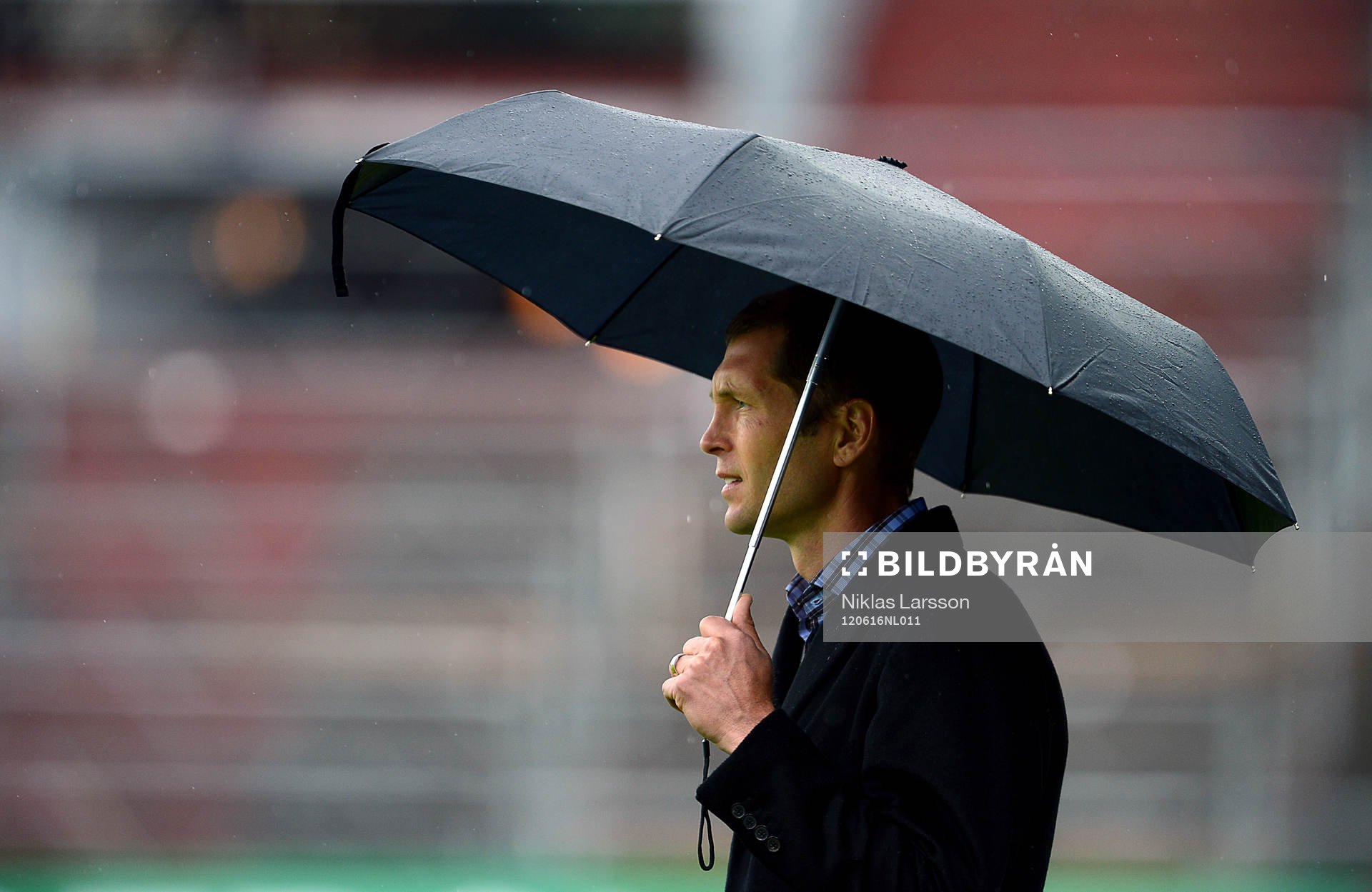 Gregg Berhalter, tränare Hammarby