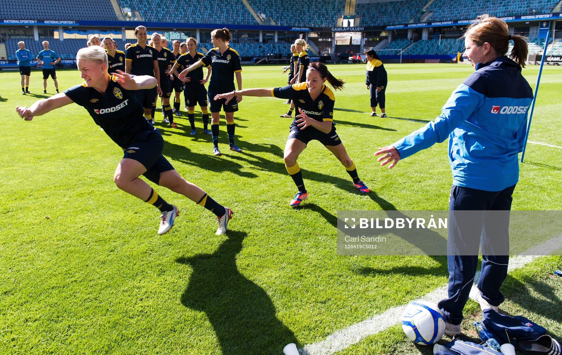 Nilla Fischer, Lotta Schelin, Sverige