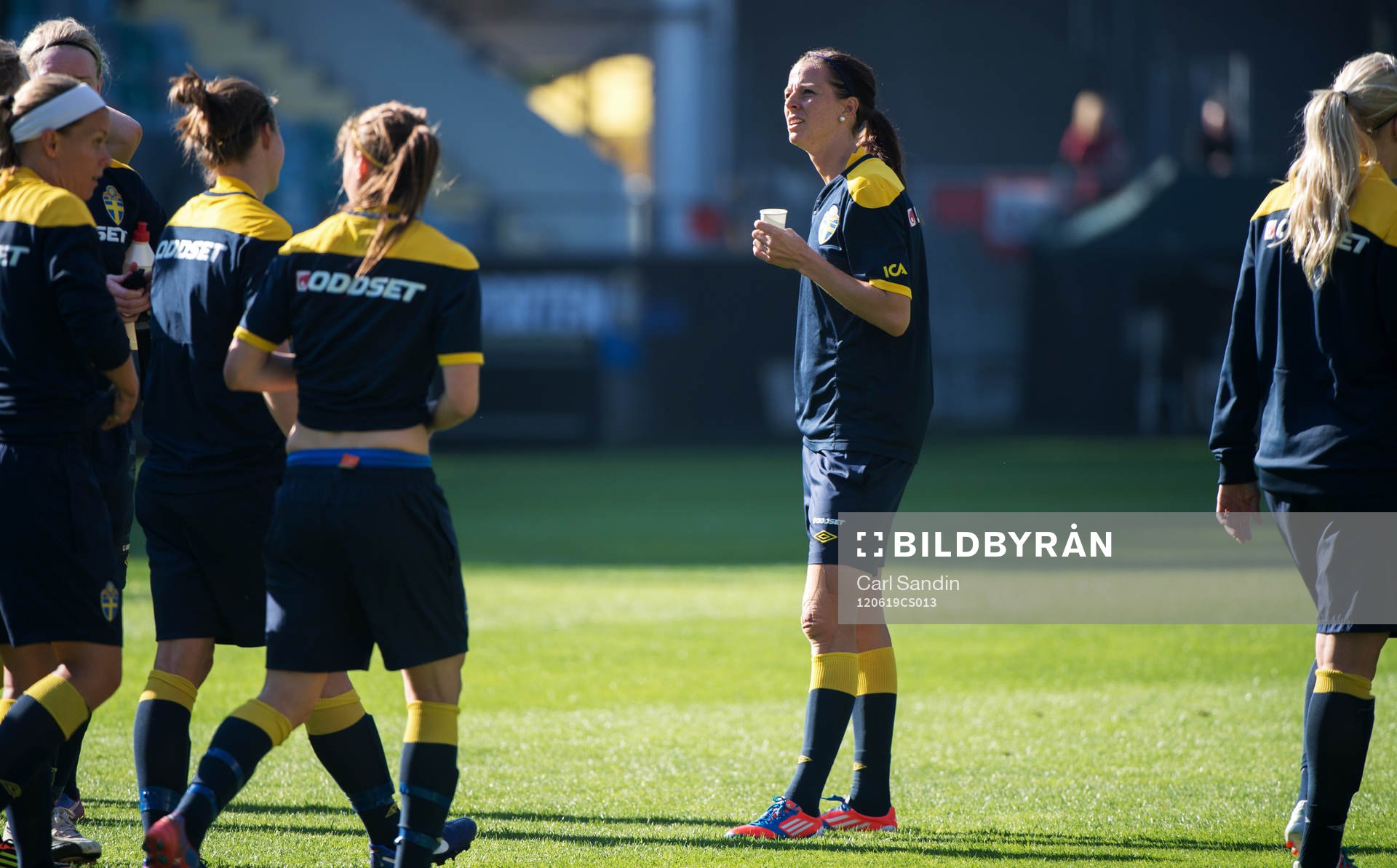 Lotta Schelin, Sverige