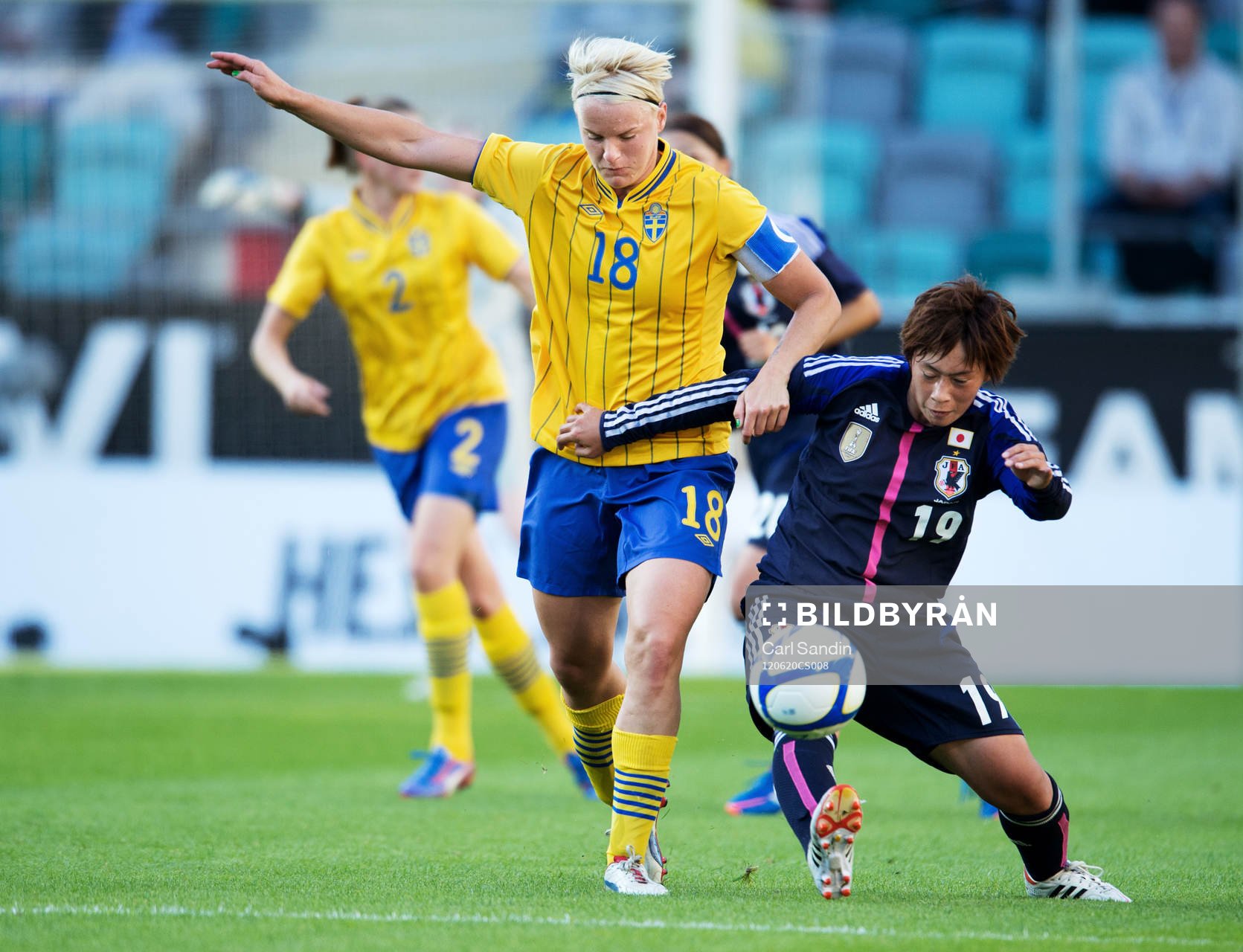 Nilla Fischer, Sverige