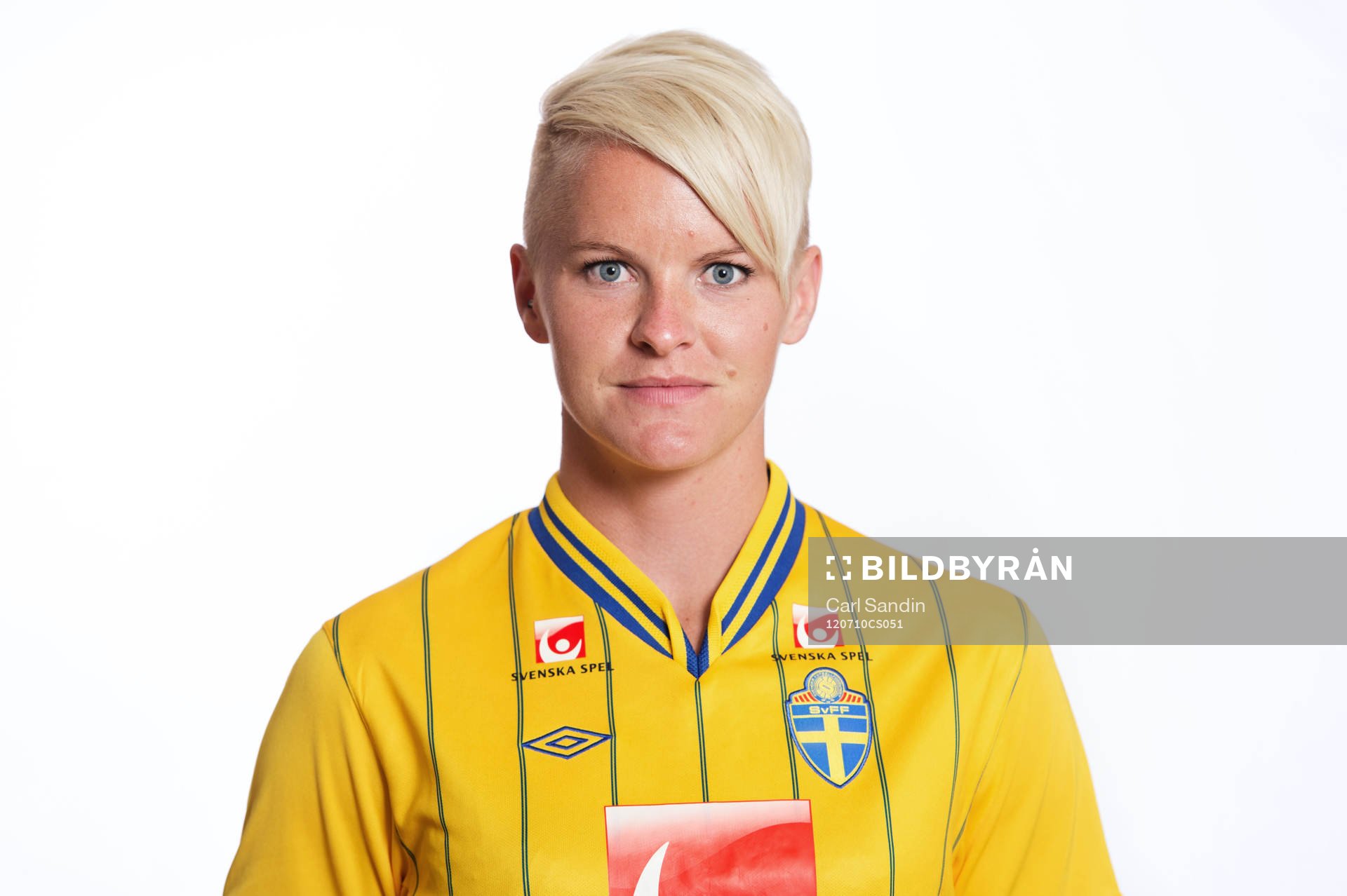 Nilla Fischer, Sverige