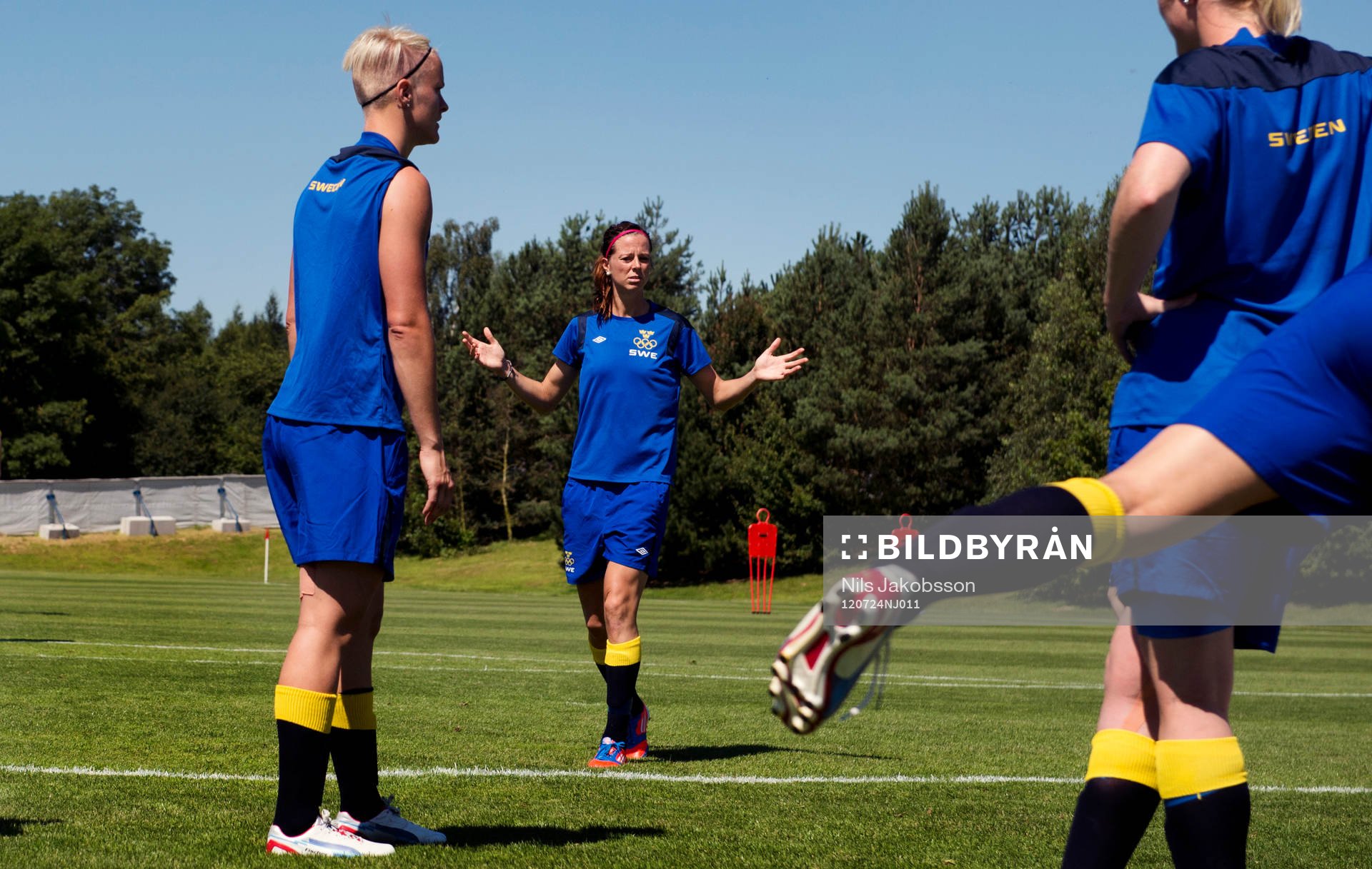 Lotta Schelin