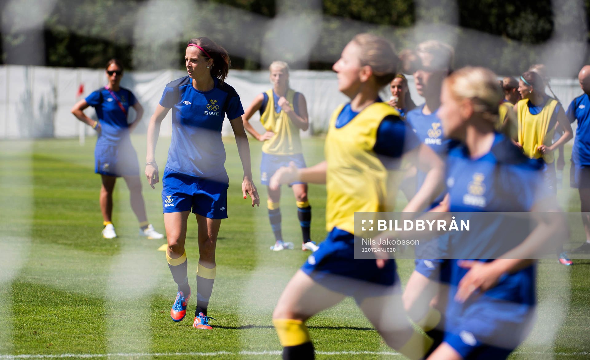 Lotta Schelin