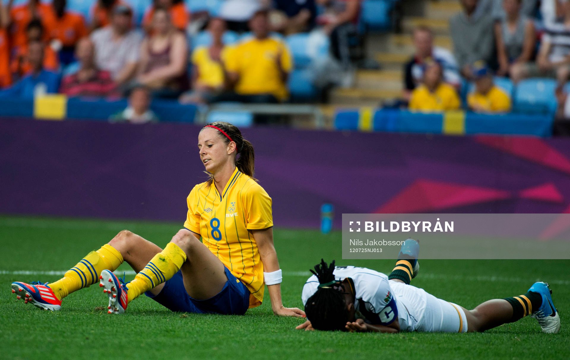 Lotta Schelin, Sverige
