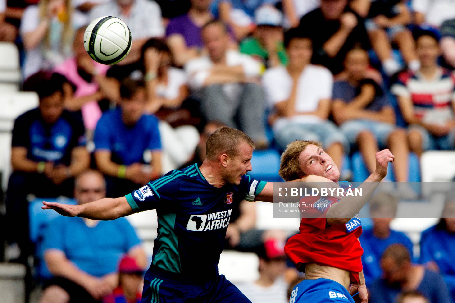 Lee Cattermole, Sunderland, Marcus Bergholtz, Helsingborg