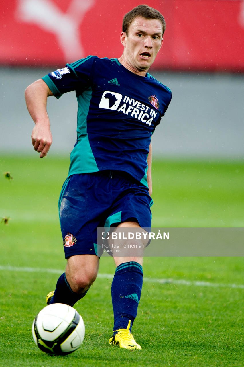 Craig Gardner, Sunderland