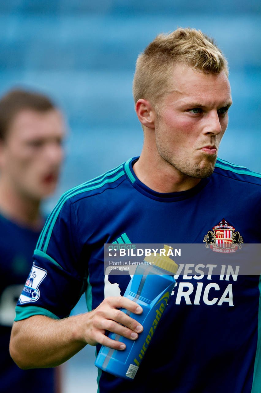 Sebastian Larsson, Sunderland