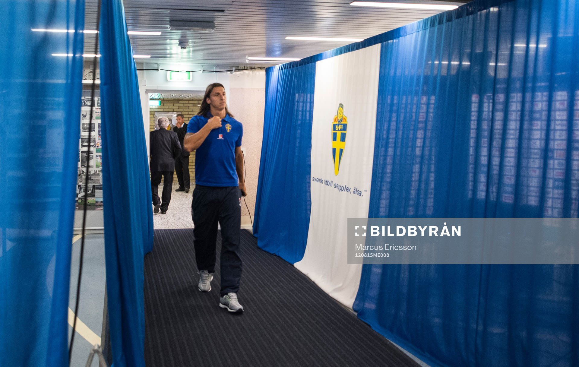 Zlatan Ibrahimovic, Sverige