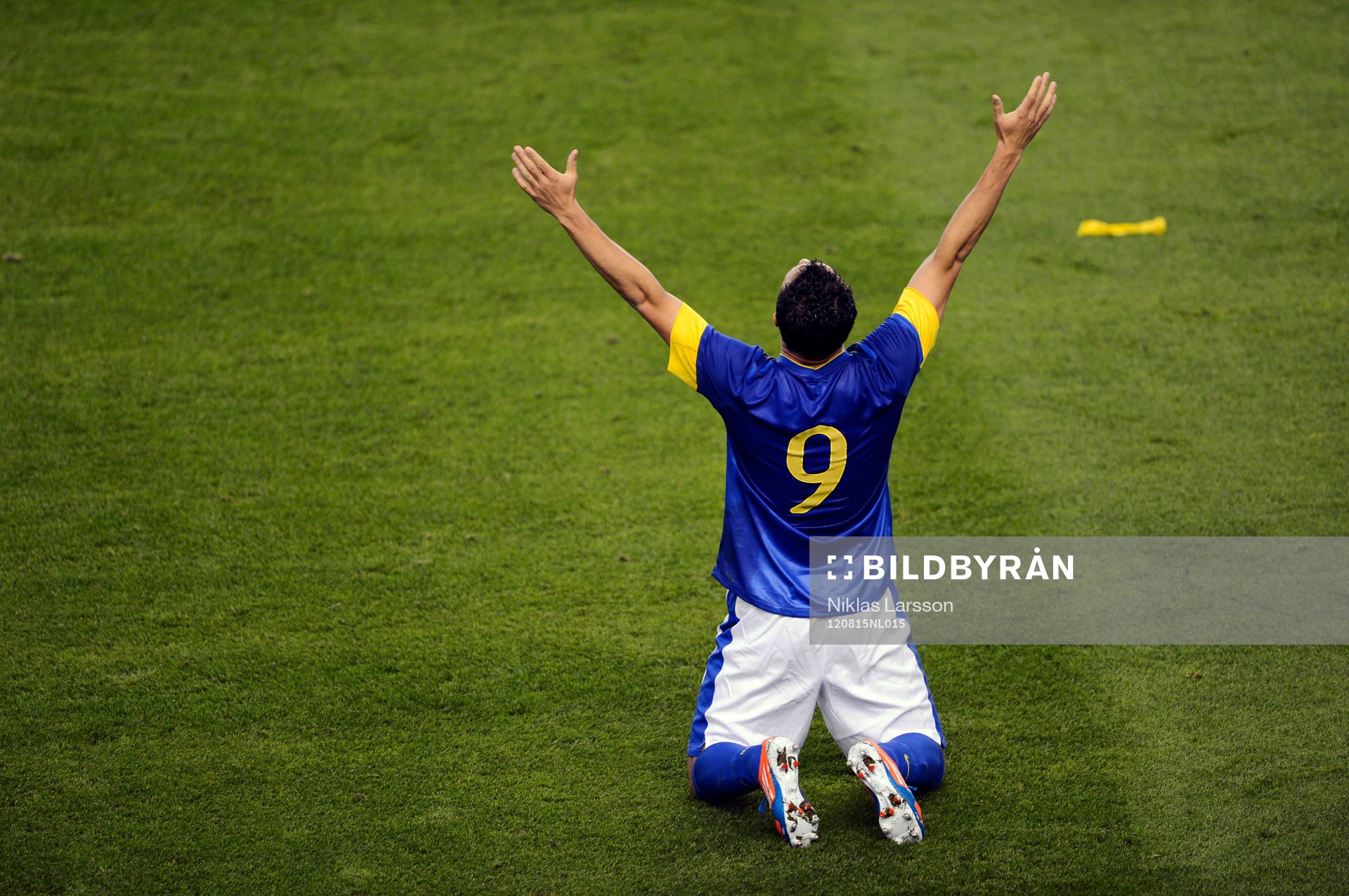 Leandro Damiao, Brasilien jubel