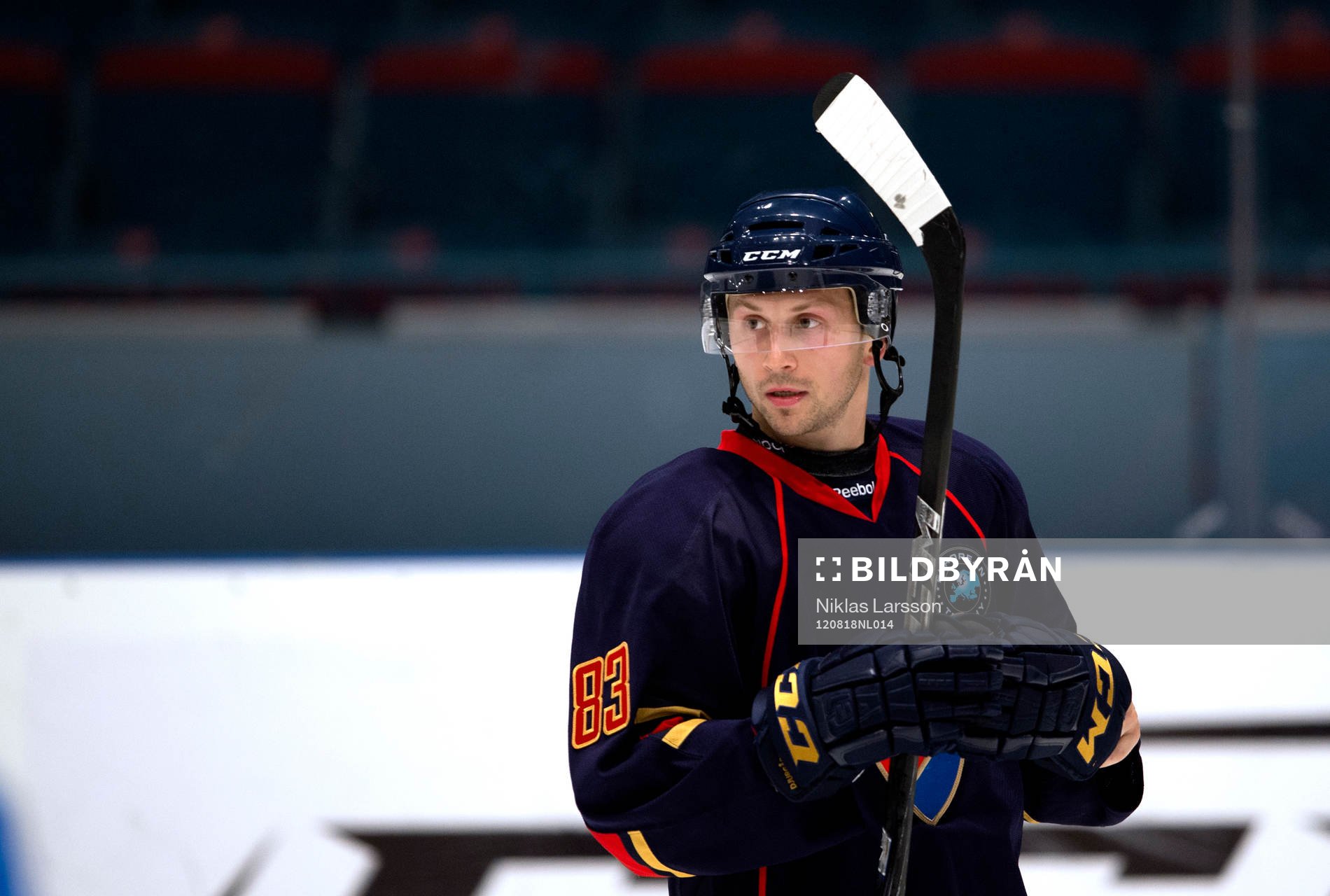 Dustin Johner, Djurgården