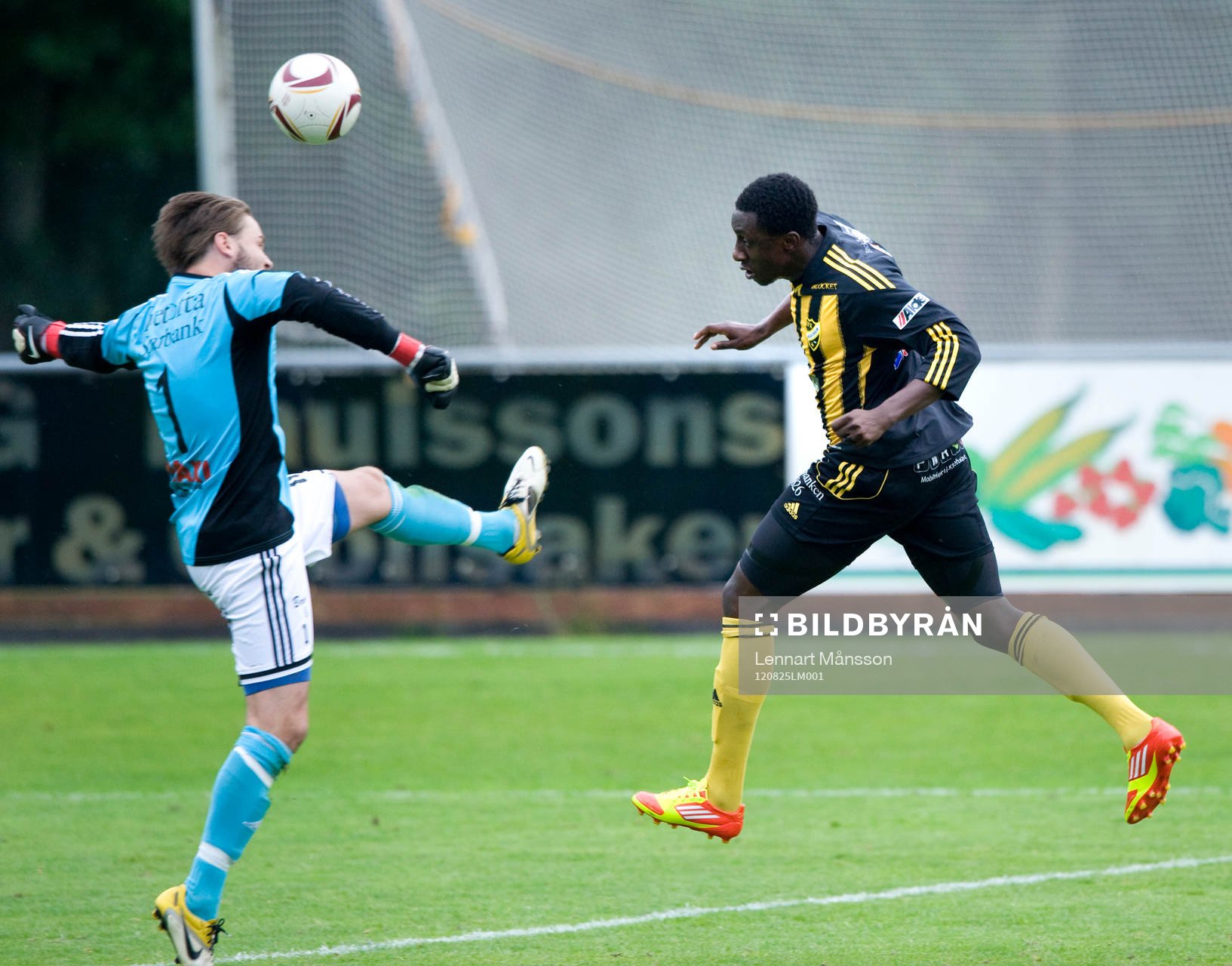 1-1, Waxiu Shehu