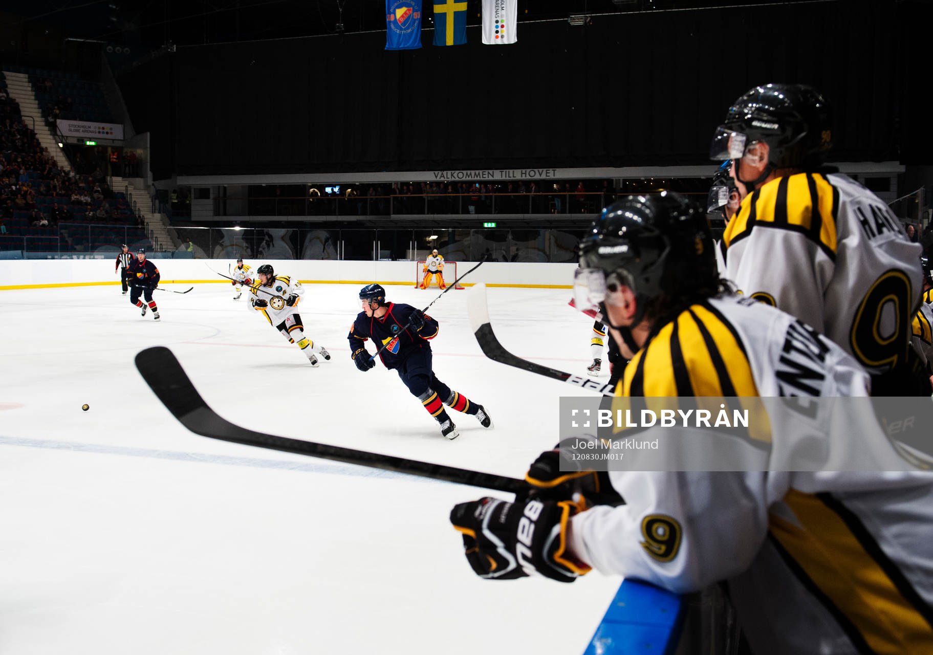 Vy från Brynäs bås