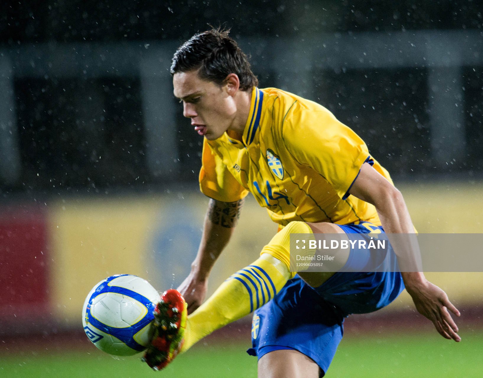 David Moberg Karlsson, Sverige