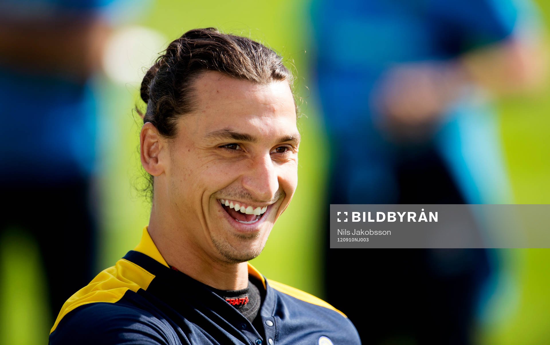 Zlatan Ibrahimovic, Sverige