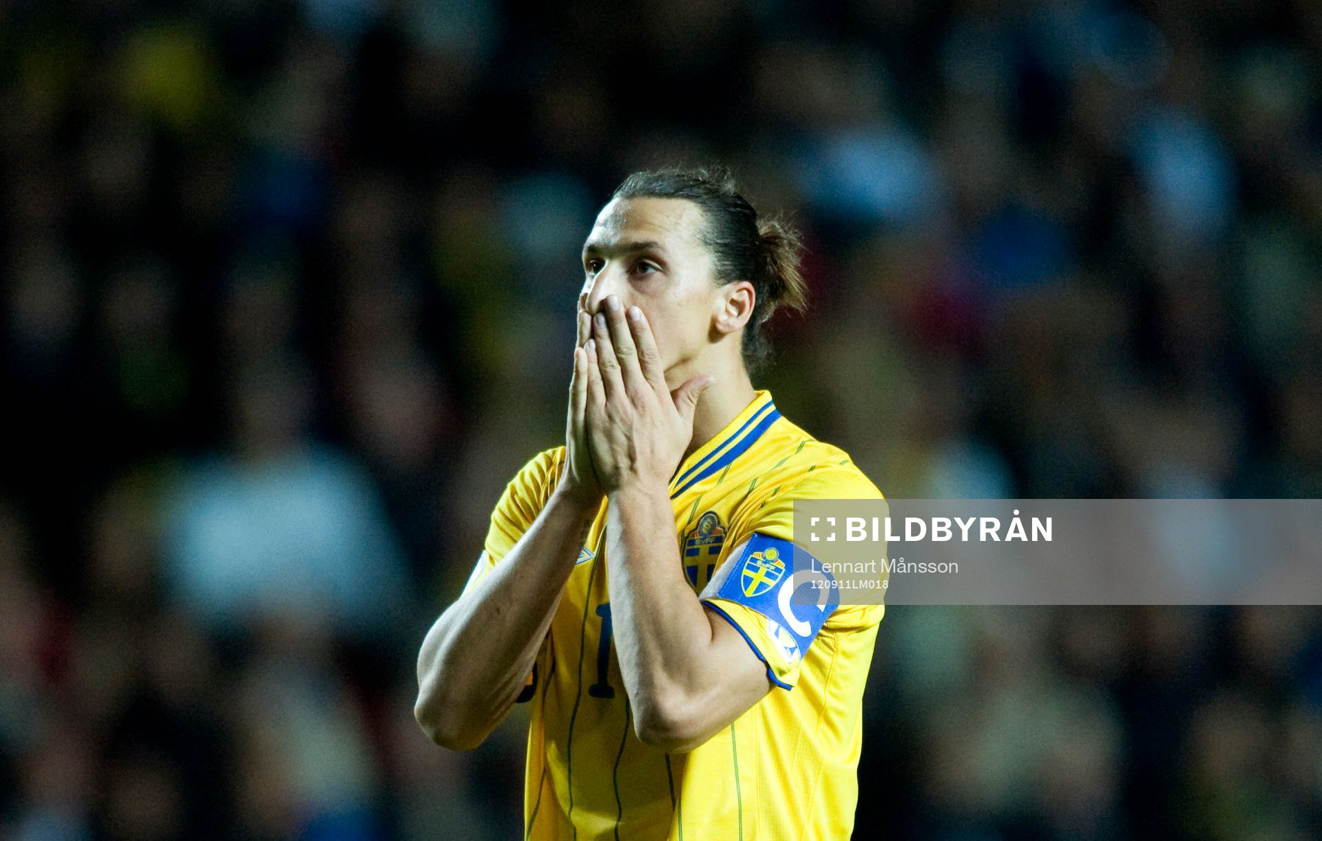 Zlatan Ibrahimovic, Sverige, besviken
