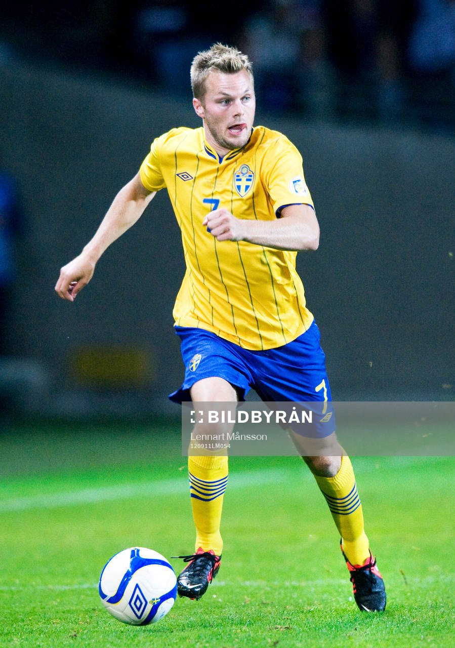 Sebastian Larsson, Sverige