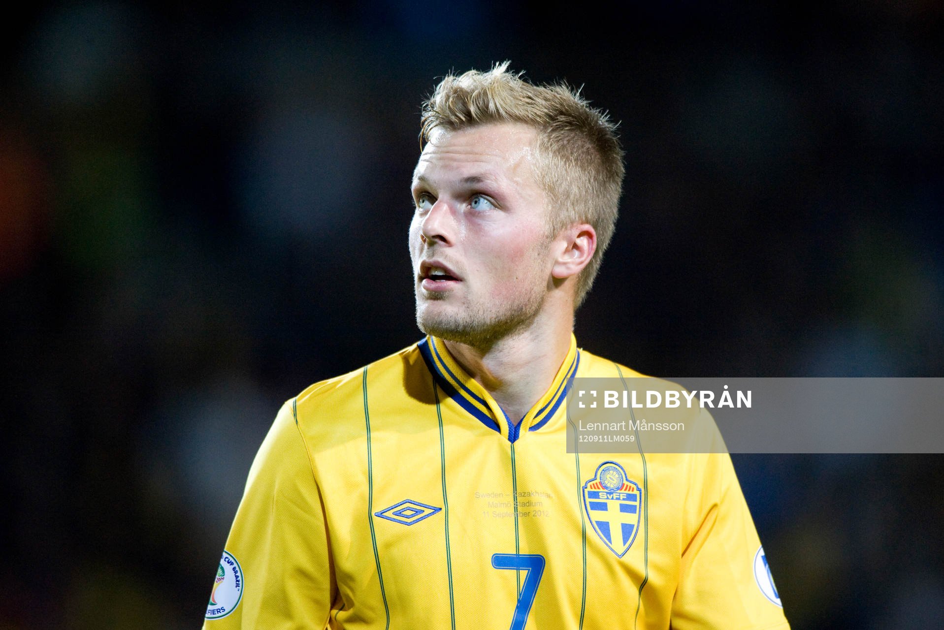 Sebastian Larsson, Sverige