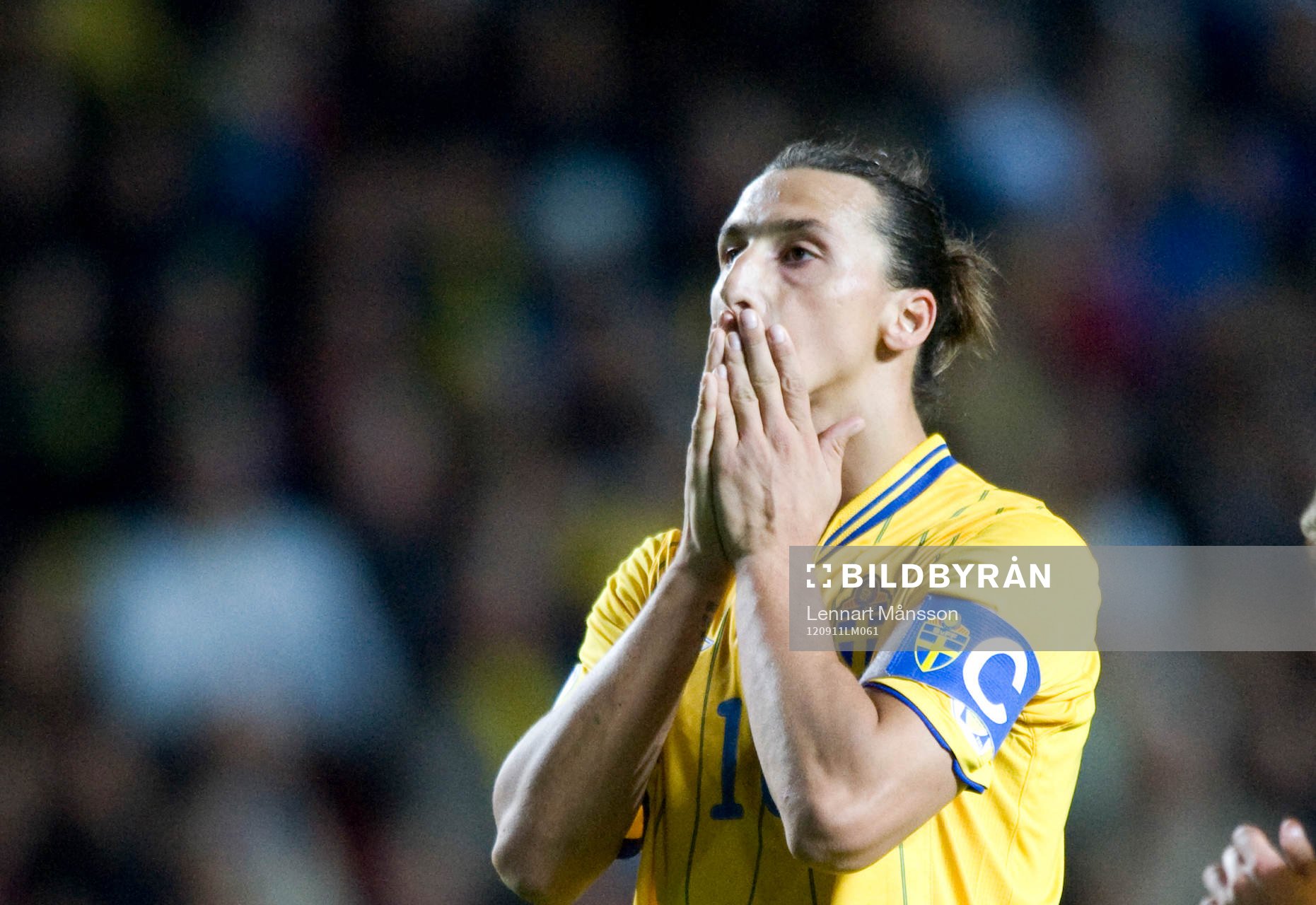 Zlatan Ibrahimovic, Sverige, besviken