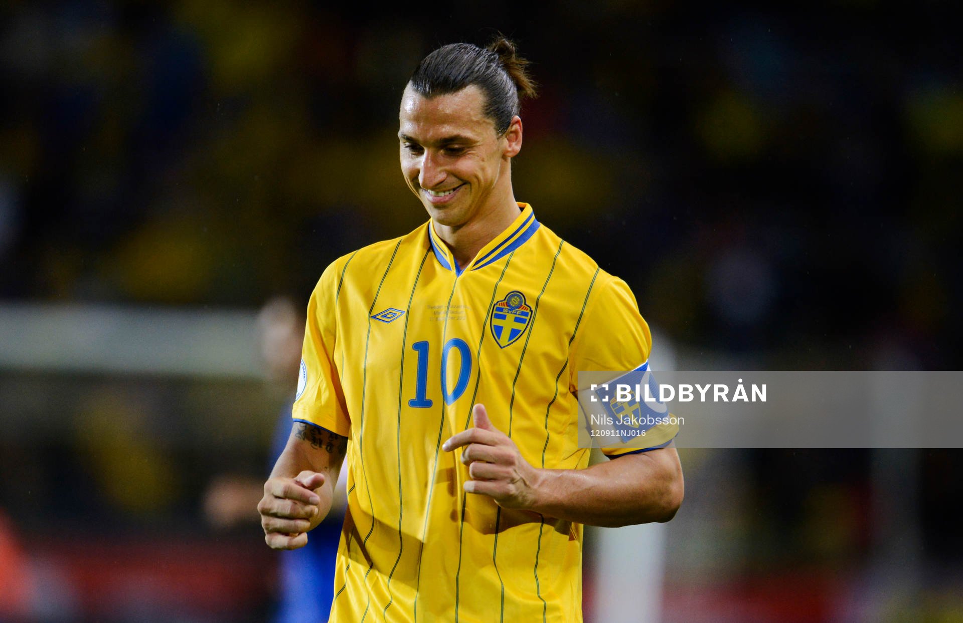 Zlatan Ibrahimovic, Sverige