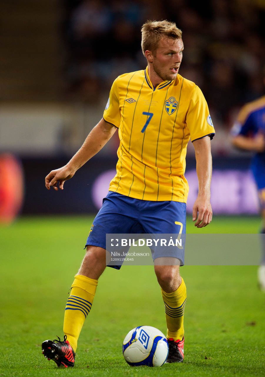 Sebastian Larsson, Sverige