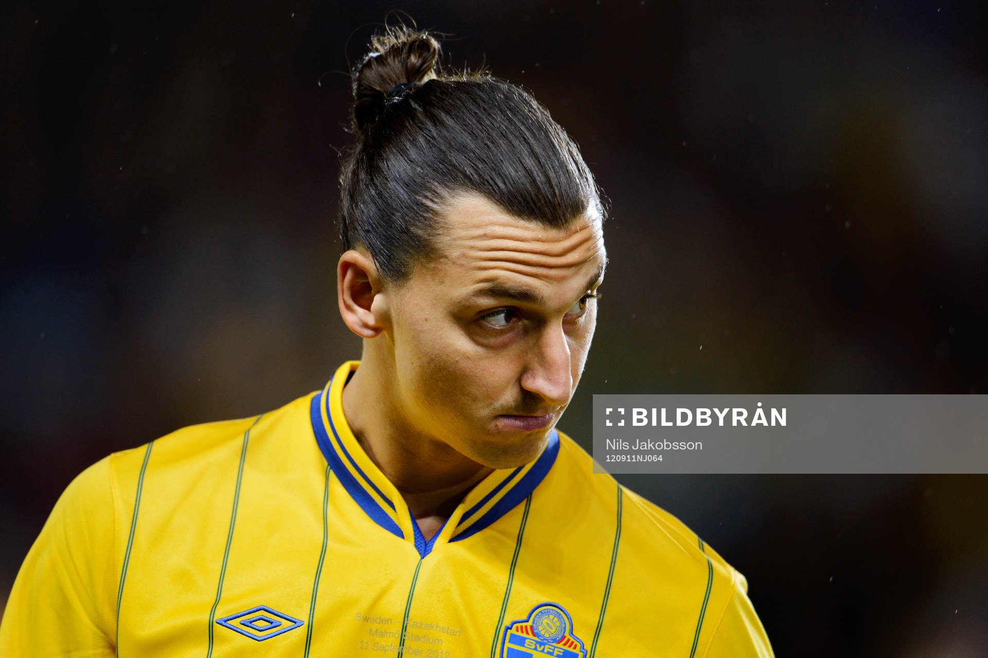 Zlatan Ibrahimovic, Sverige