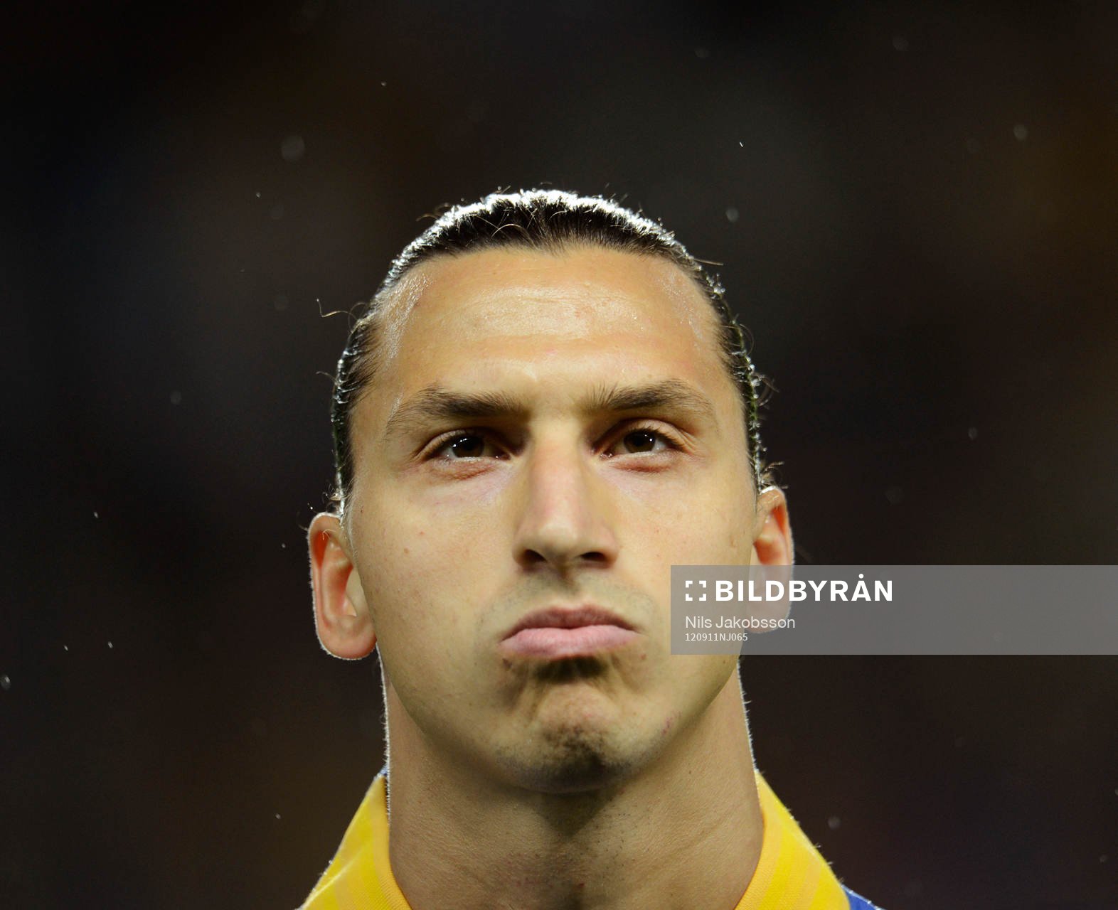 Zlatan Ibrahimovic, Sverige