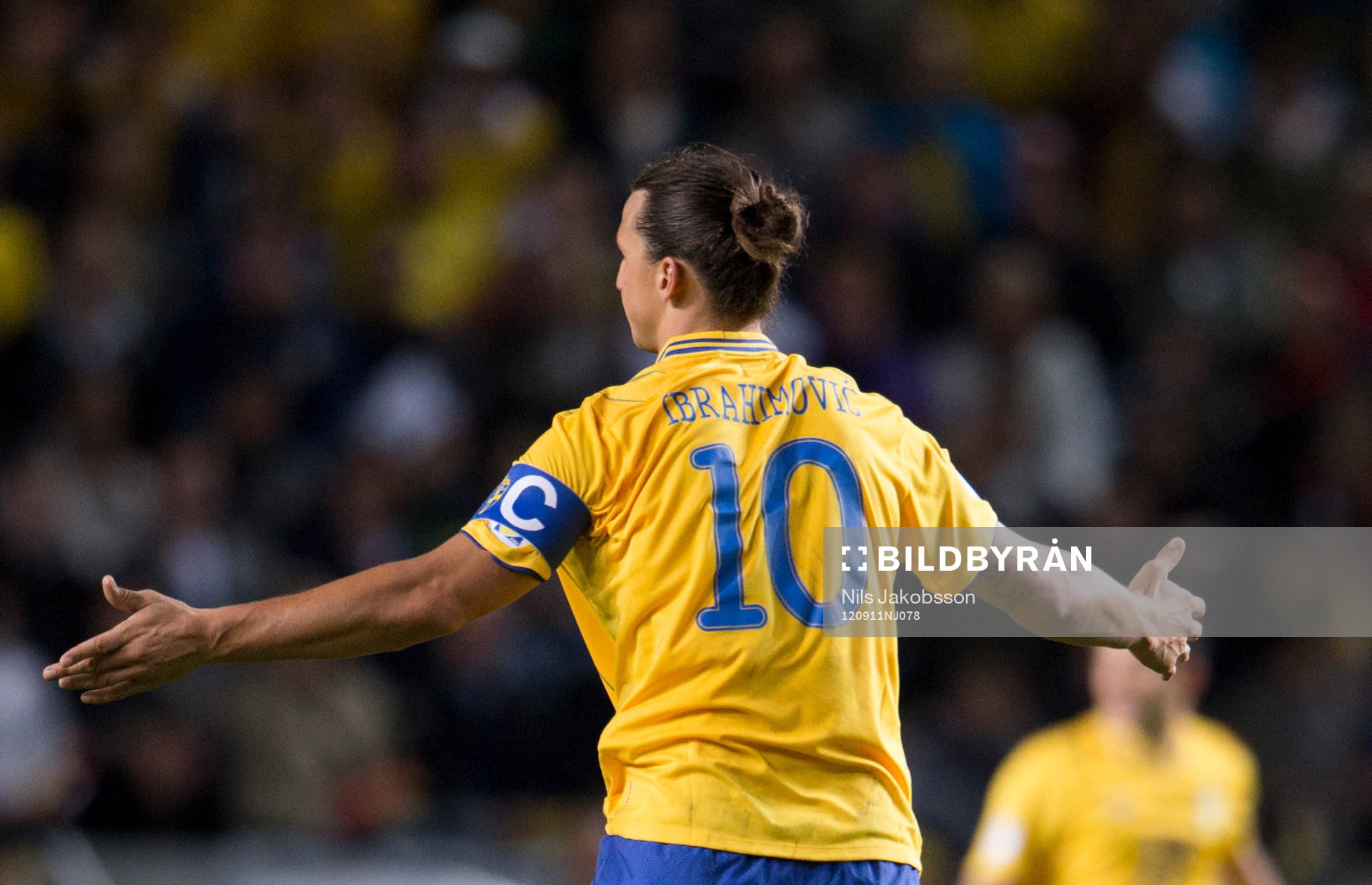 Zlatan Ibrahimovic, Sverige