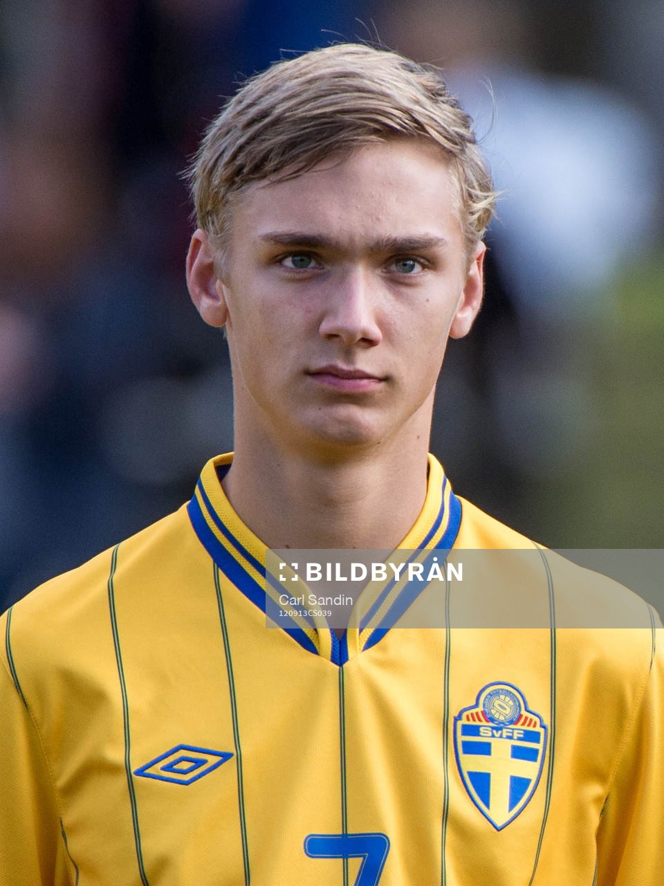 Linus Wahlqvist, Sverige