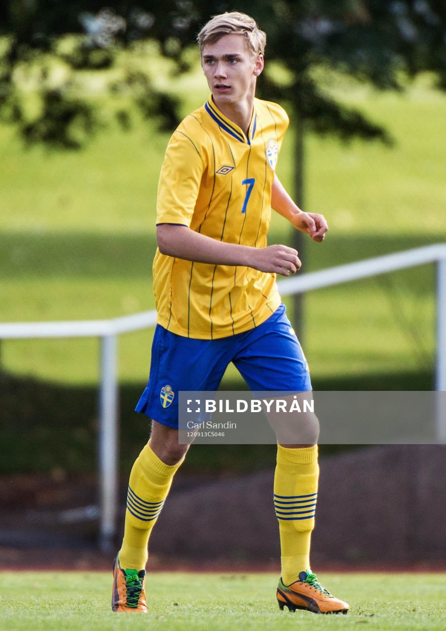 Linus Wahlqvist, Sverige