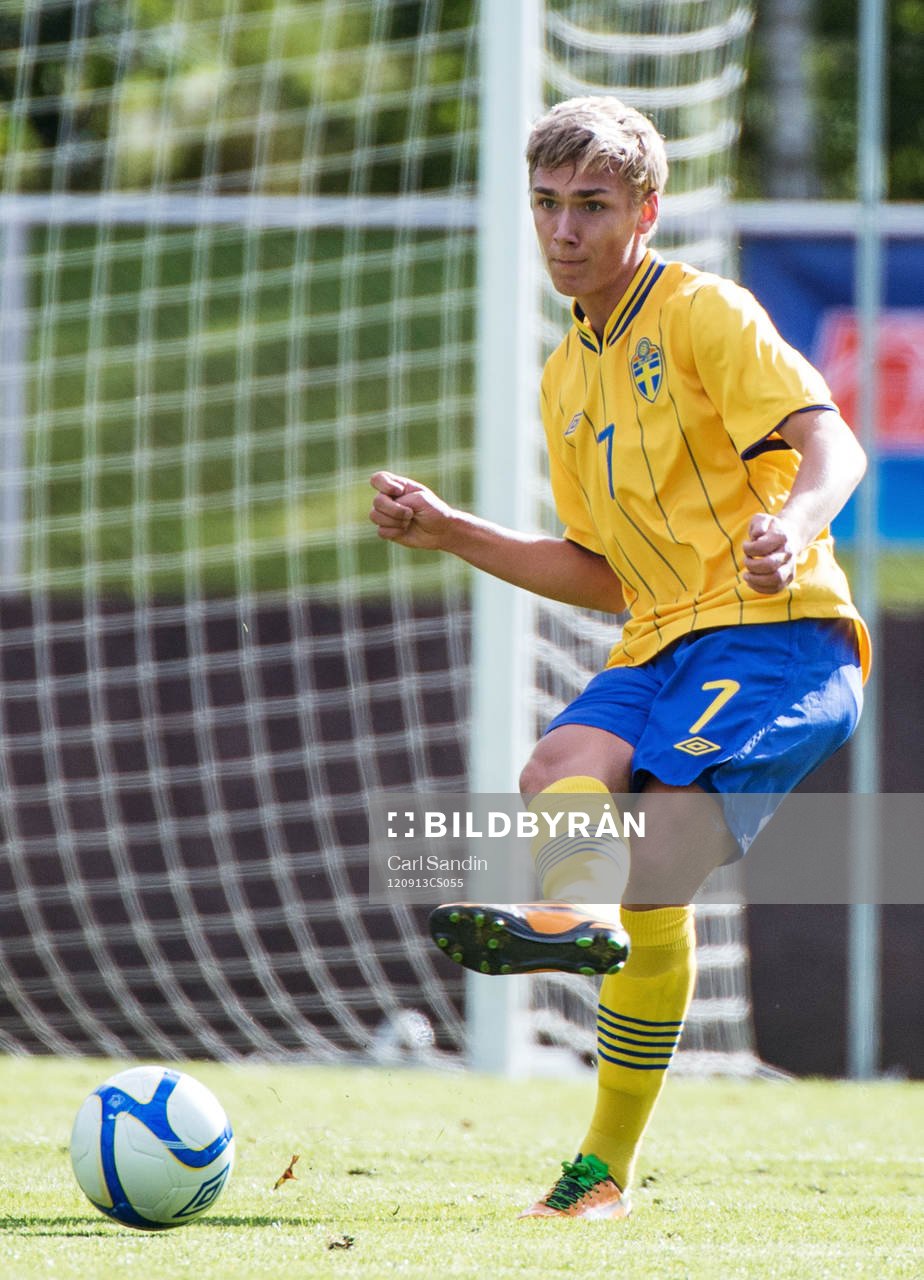 Linus Wahlqvist, Sverige