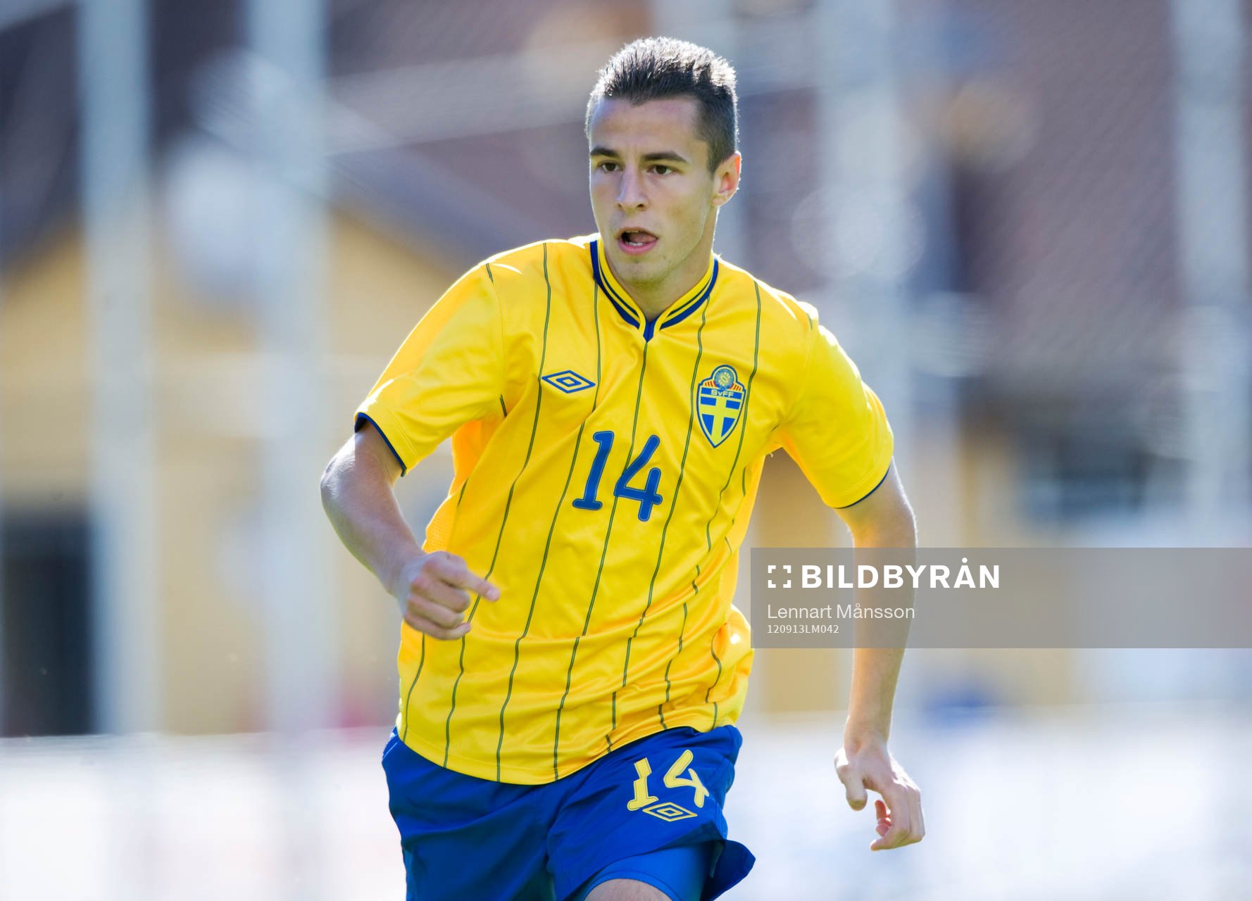 Adnir Bajrovic, Sverige