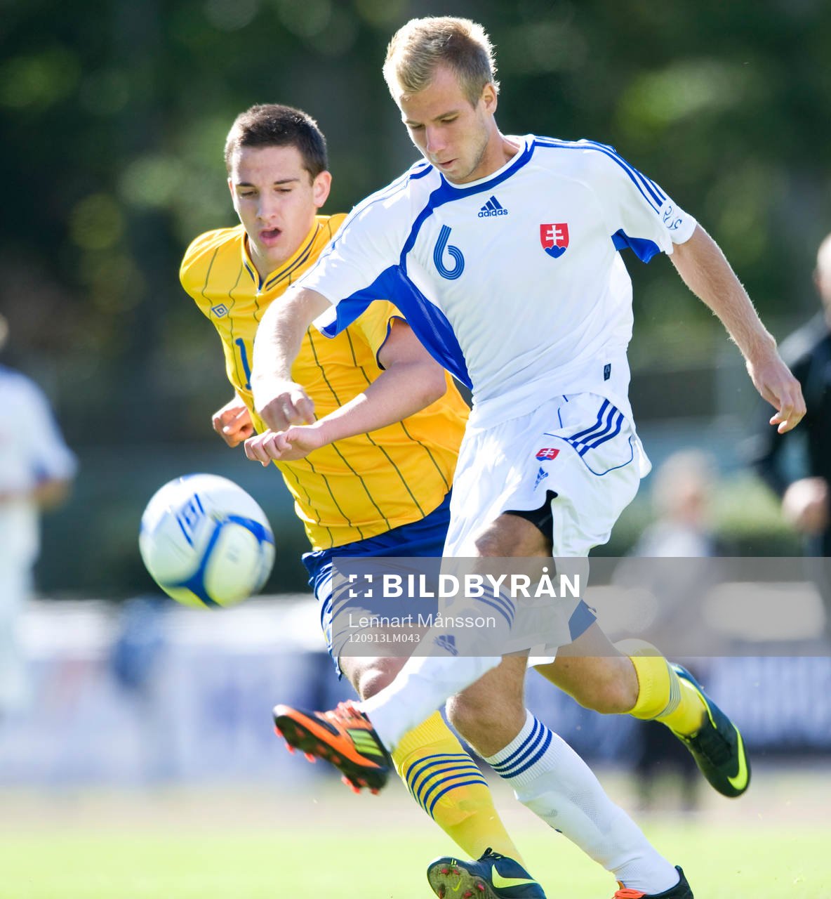 Martin Kralik, Slovakien